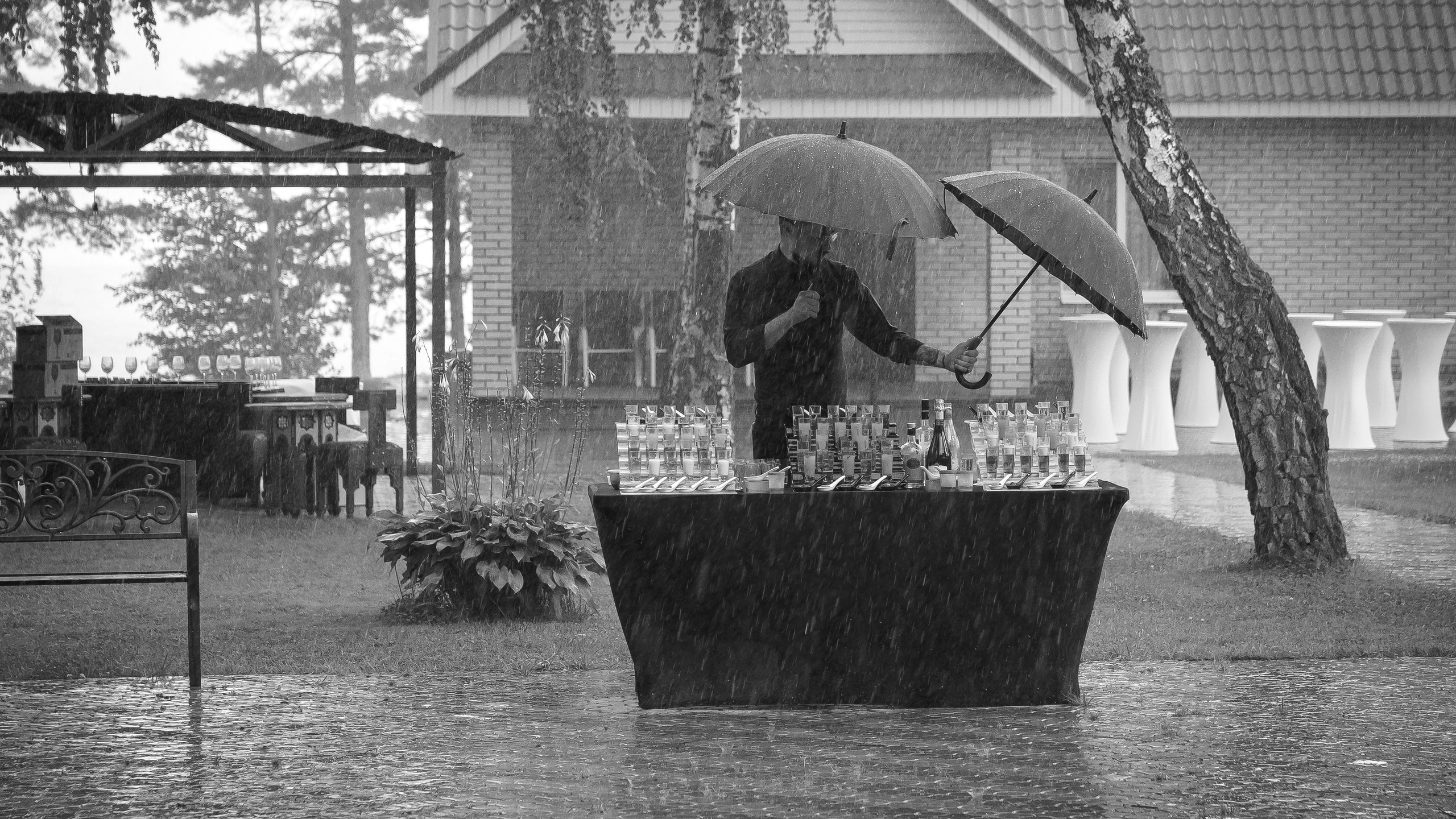 Репортаж. ФЕСС-ФОТО/ВИДЕО