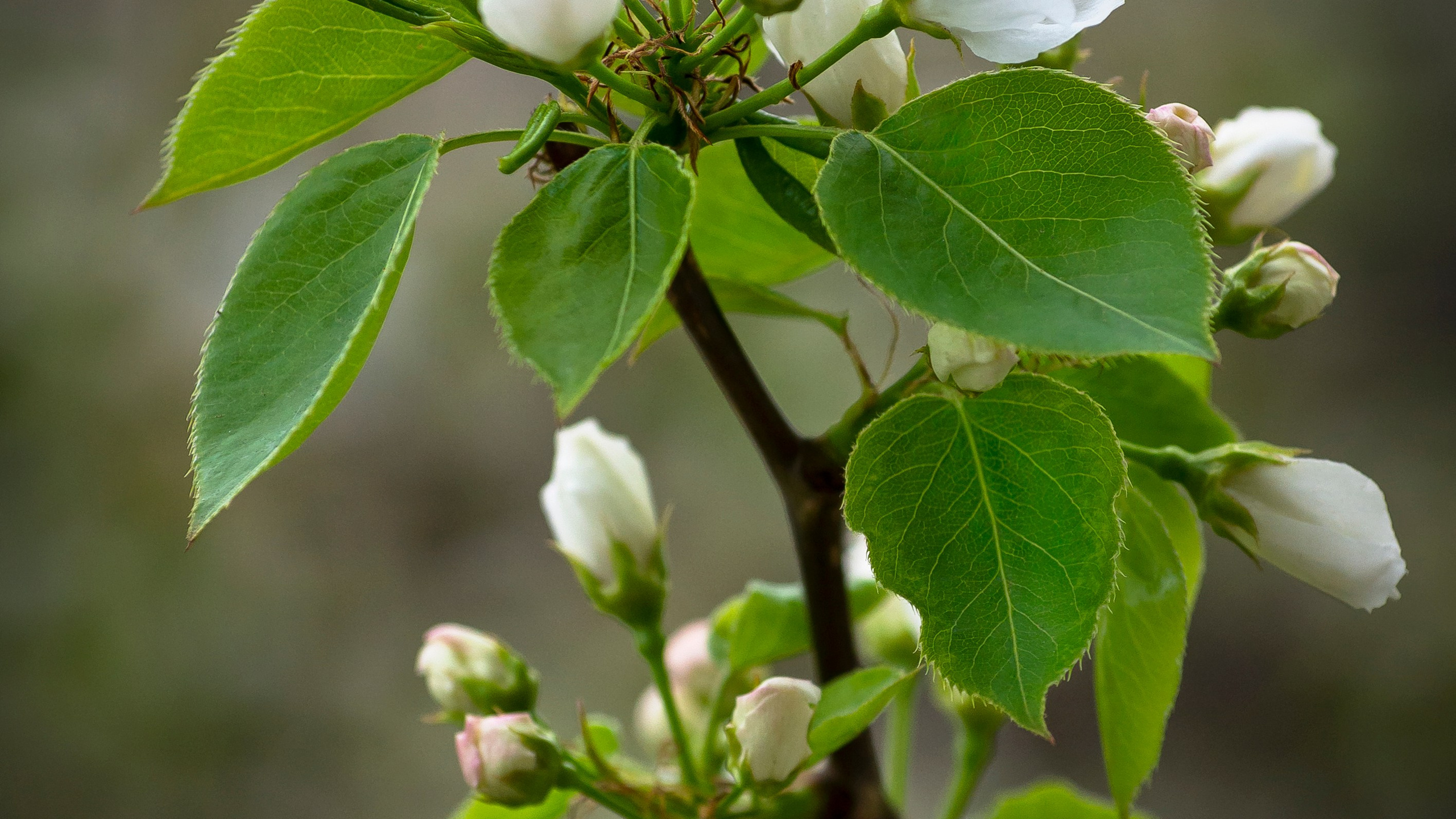 Пейзажи. ФЕСС-ФОТО/ВИДЕО