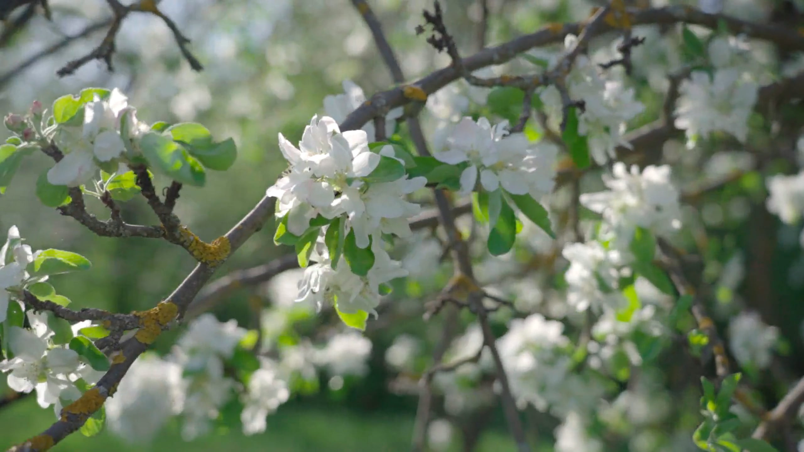 В ожидании. Свадебный фотограф Марина Суворова и видеооператор Олег Петров