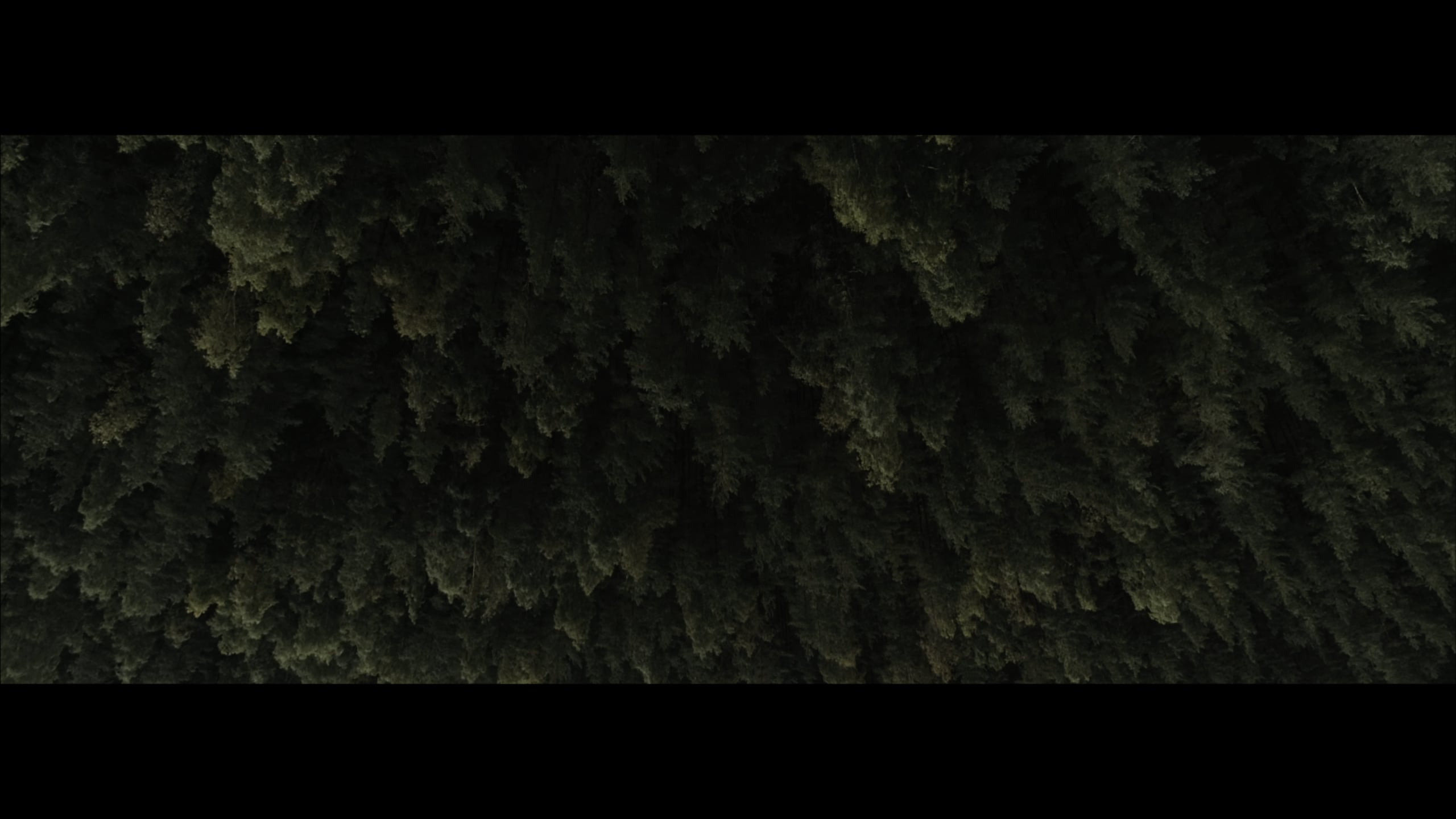 Музыкальные клипы. Свадебное видео в Иваново и России