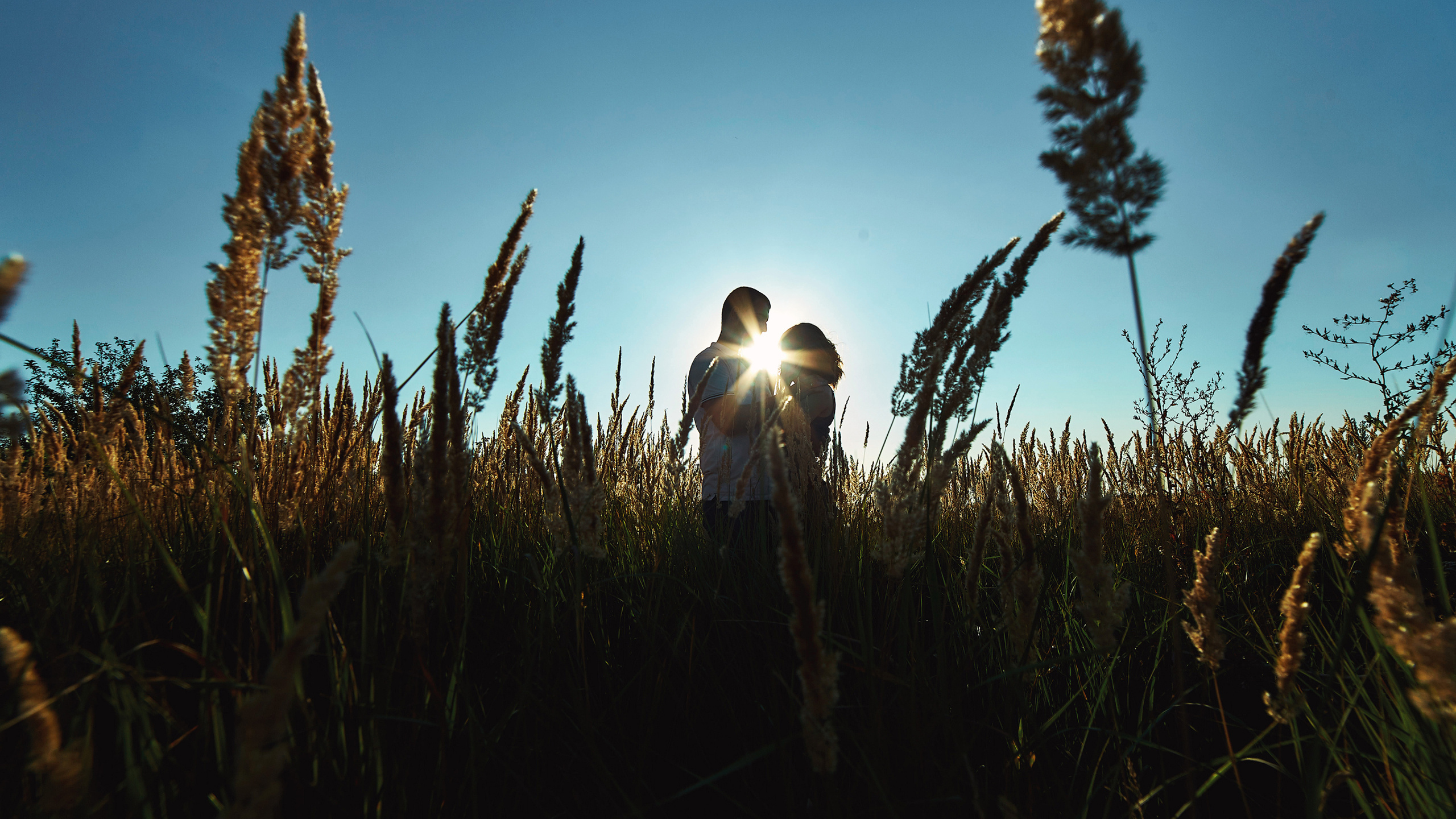 Саша и Алина. Свадебный и семейный фотограф в Воронеже Алексей Мешалкин
