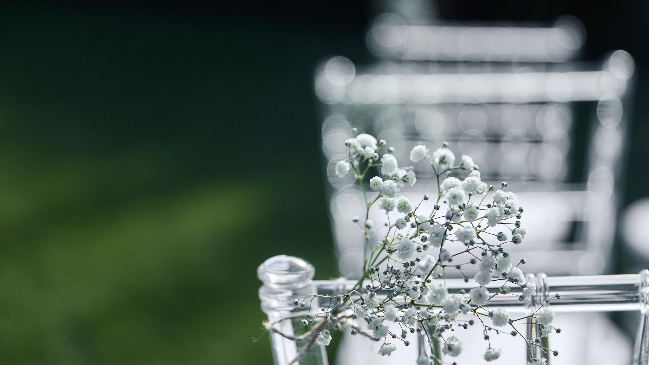 Сергей и Анастасия. Свадебный и семейный фотограф в Воронеже Алексей Мешалкин
