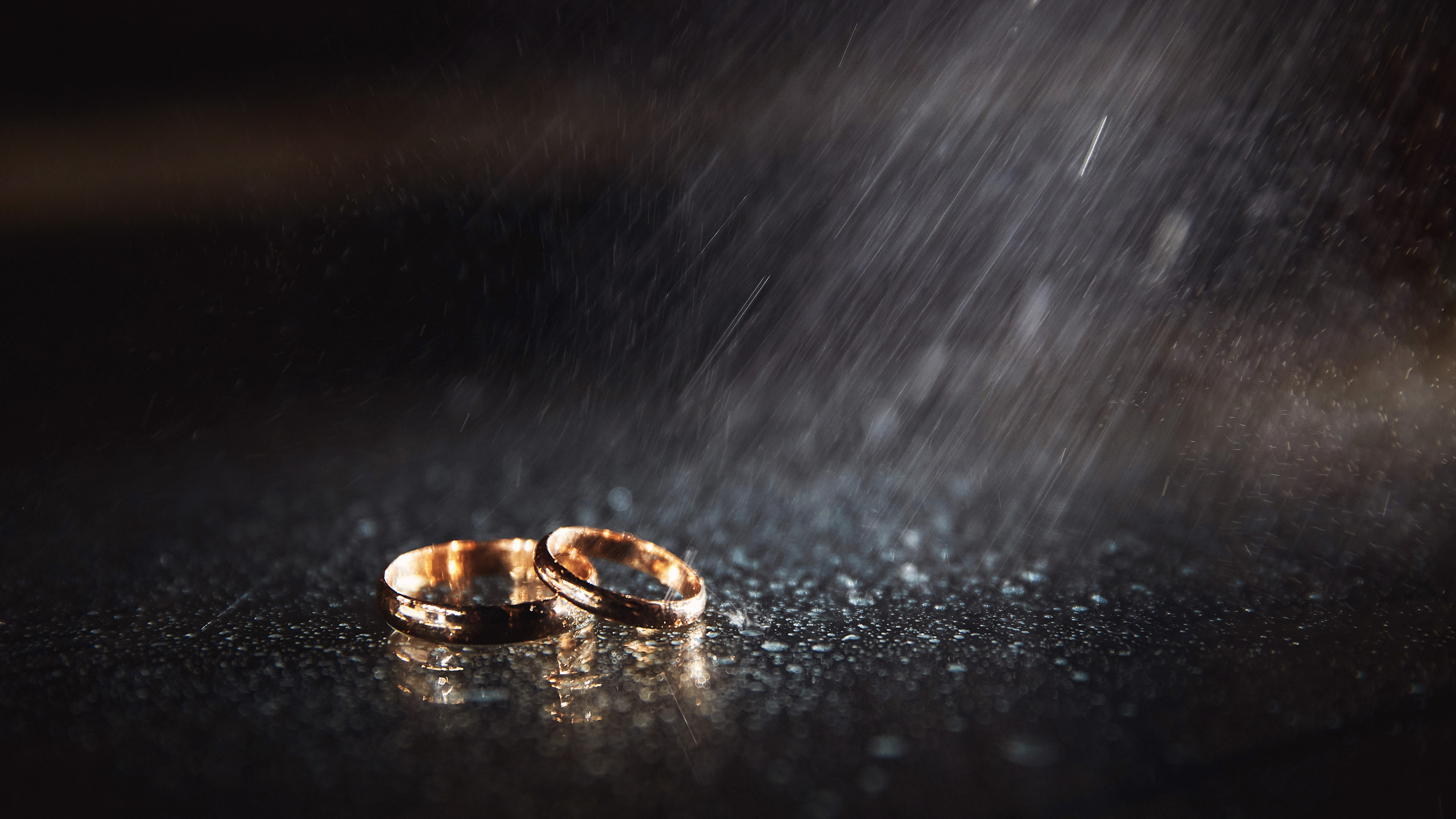 Артём и Виктория. Свадебный и семейный фотограф в Воронеже Алексей Мешалкин