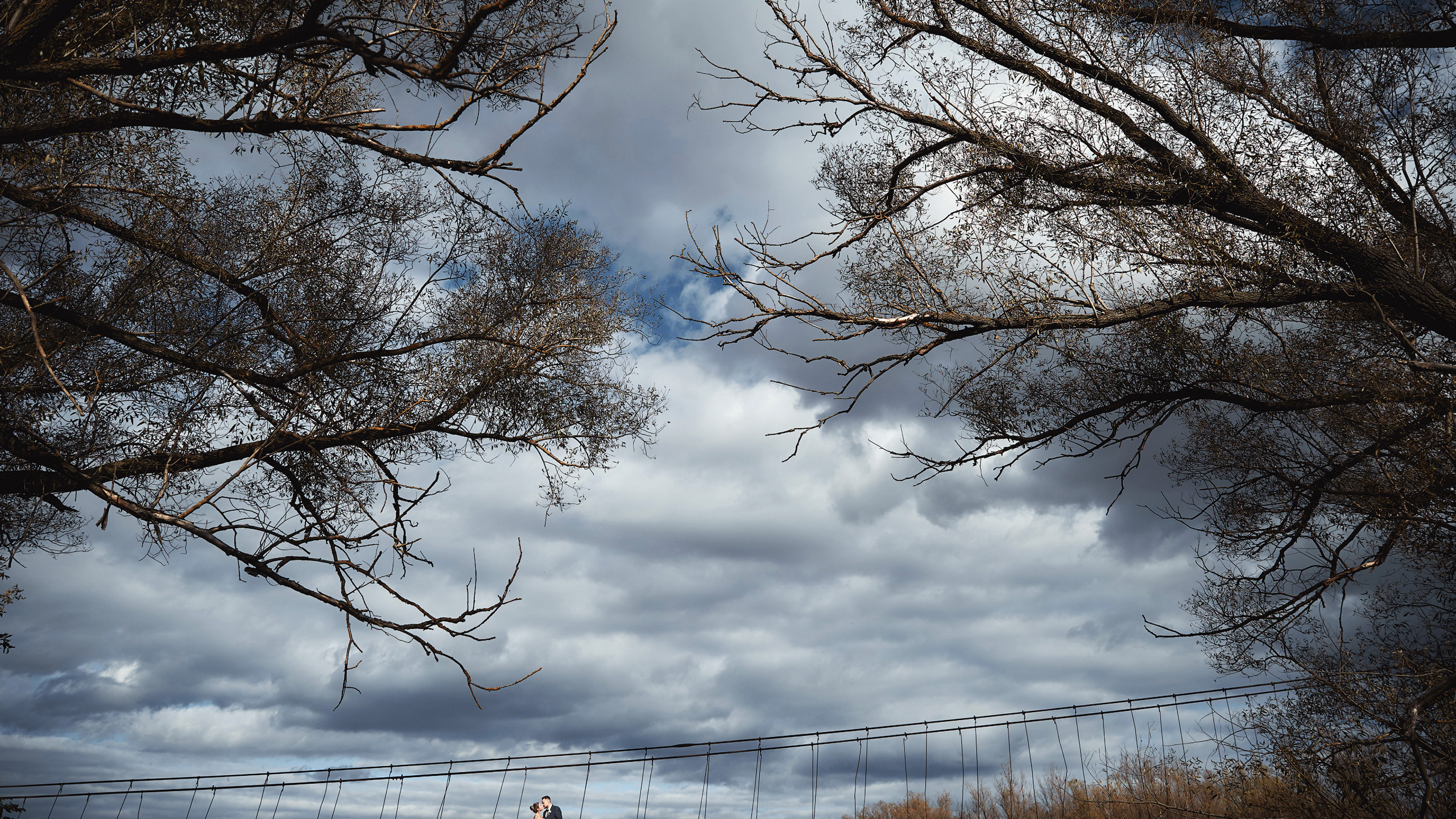Подвесной мост в Стрелице. Свадебный и семейный фотограф в Воронеже Алексей Мешалкин