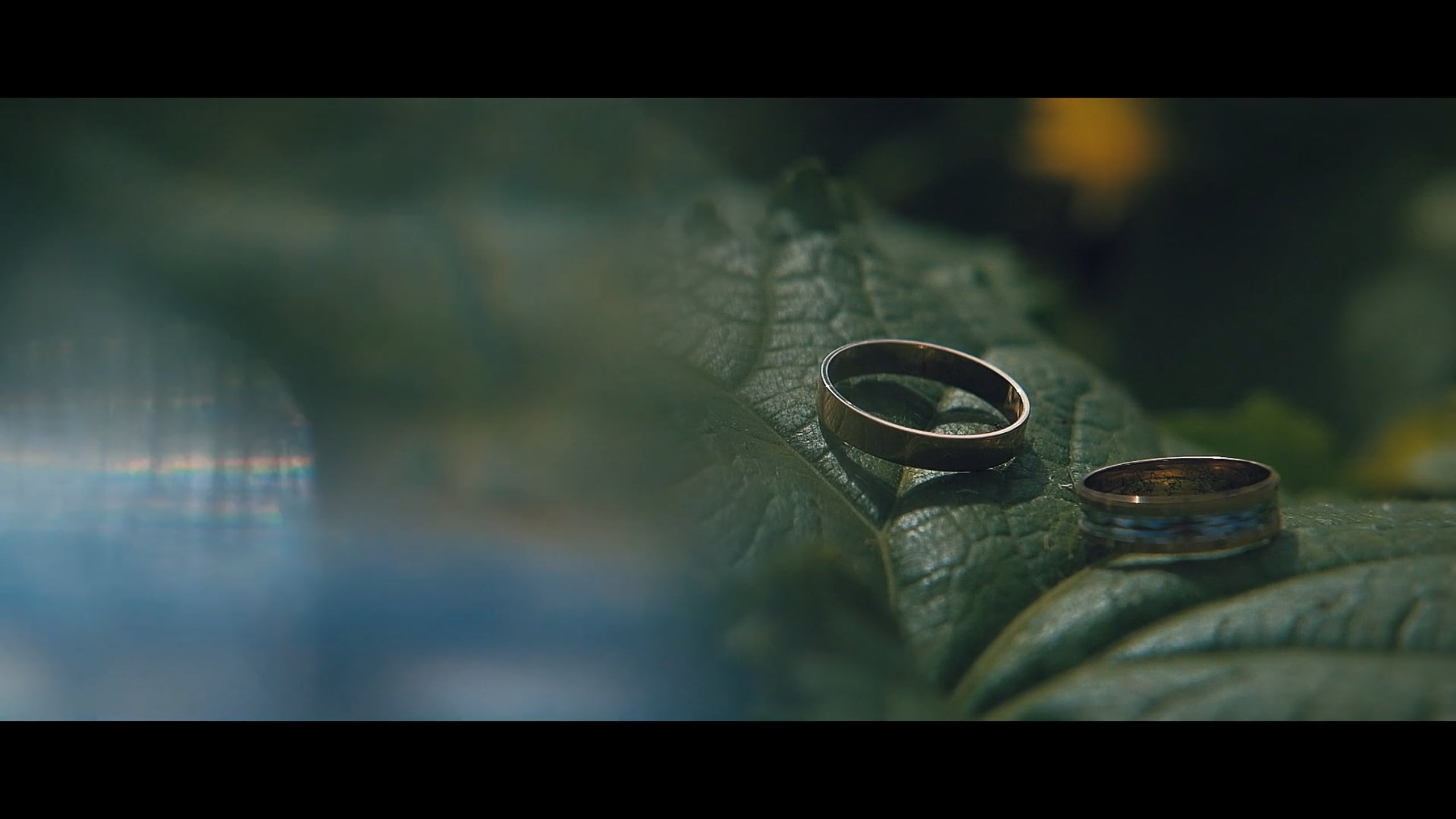 СВАДЕБНЫЕ КЛИПЫ. Свадебное видео Чигарев Владислав