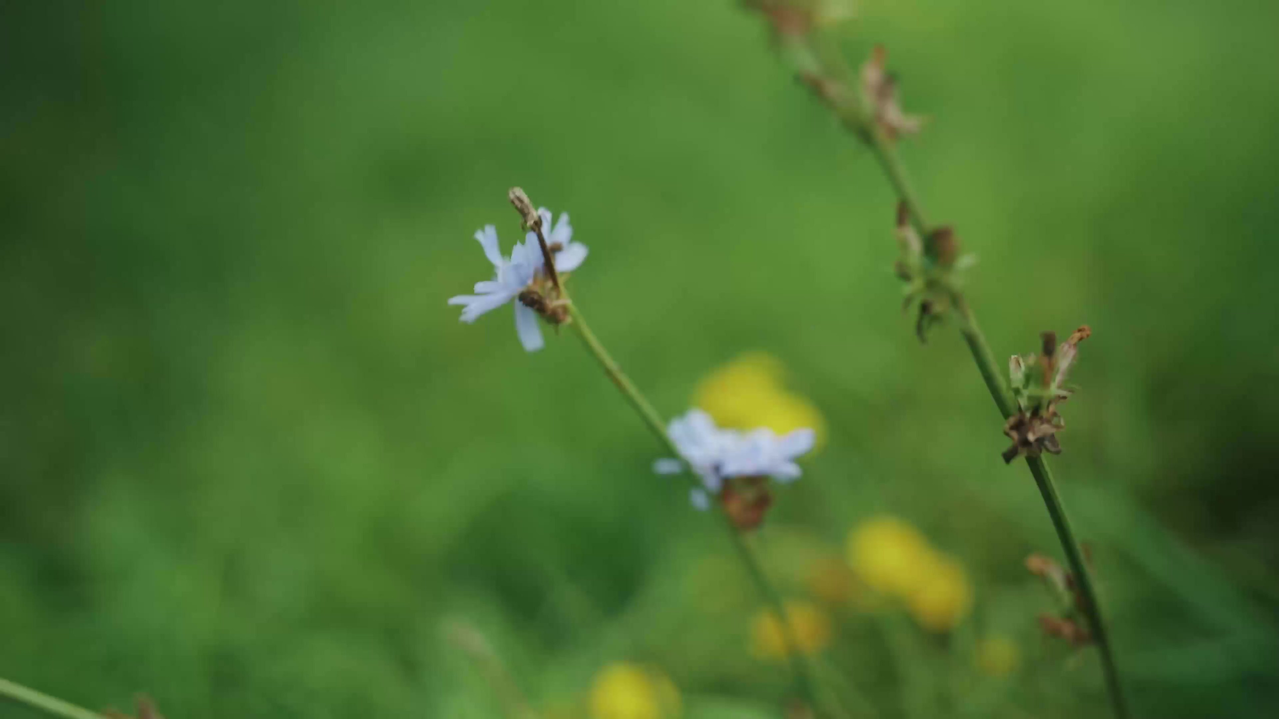 Мероприятия. Я Азовцев — Видеограф и фотограф