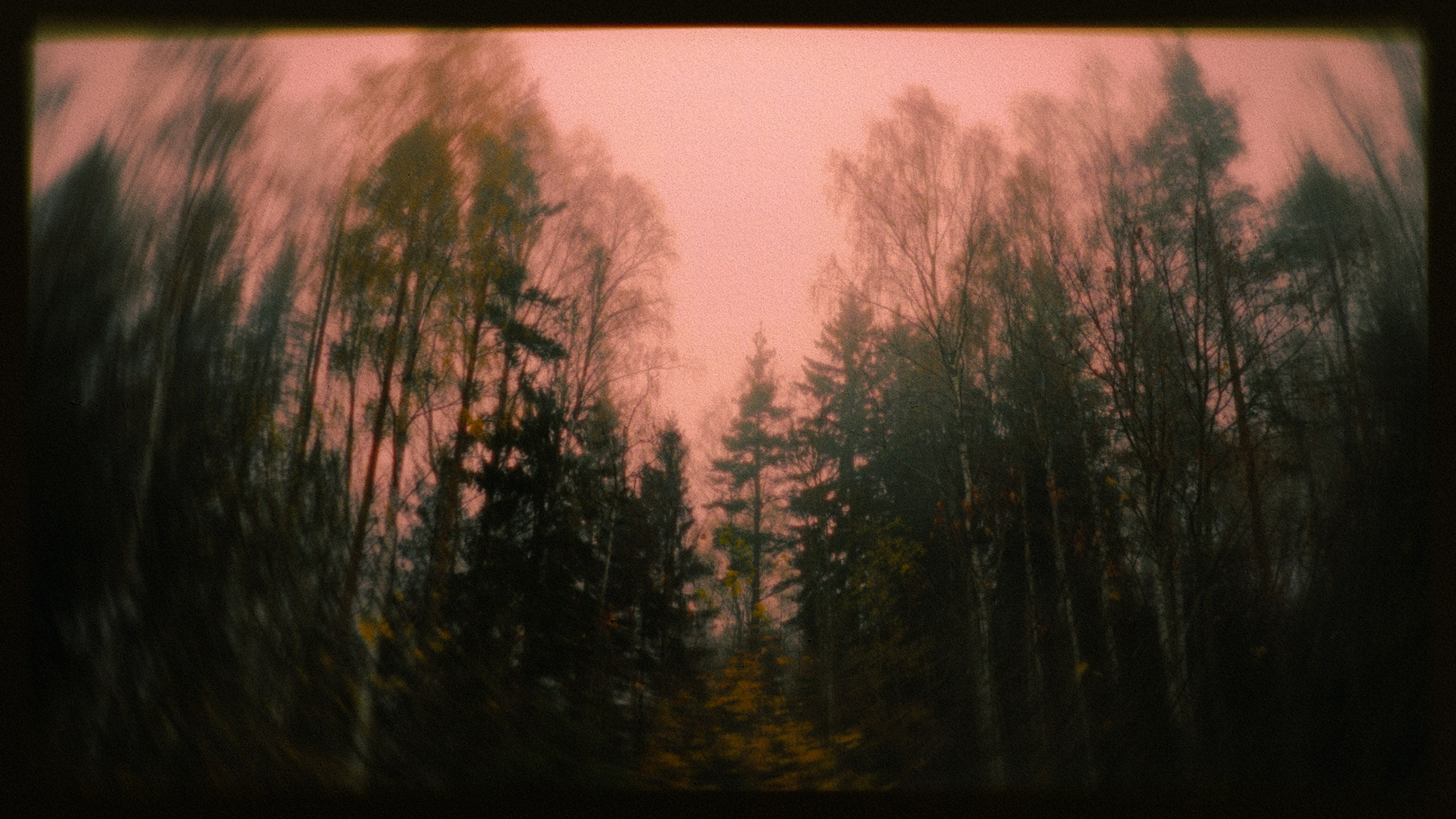 Cometa JOY — Koop Island Blues (Koop cover). Цветокоррекция & Color Grading