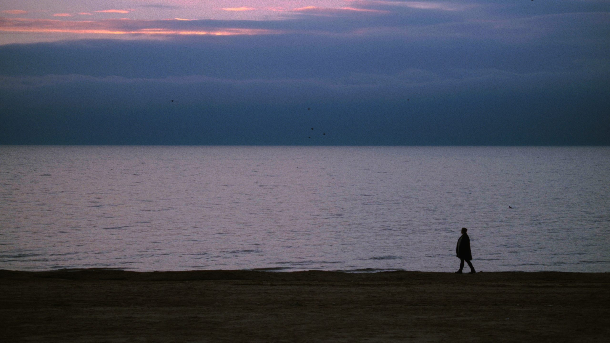 Cometa JOY — Koop Island Blues (Koop cover). Цветокоррекция & Color Grading