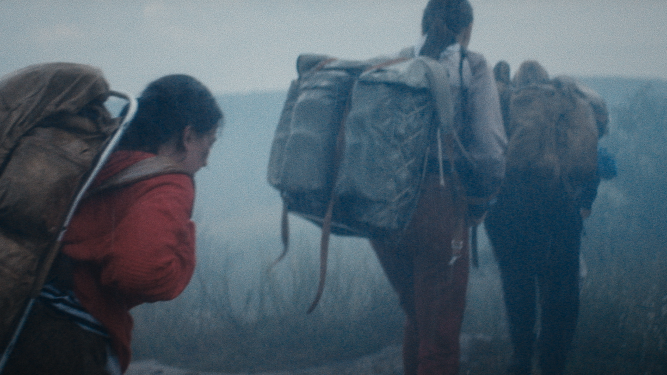Дима Масленников «Новый перевал Дятлова». Цветокоррекция & Color Grading