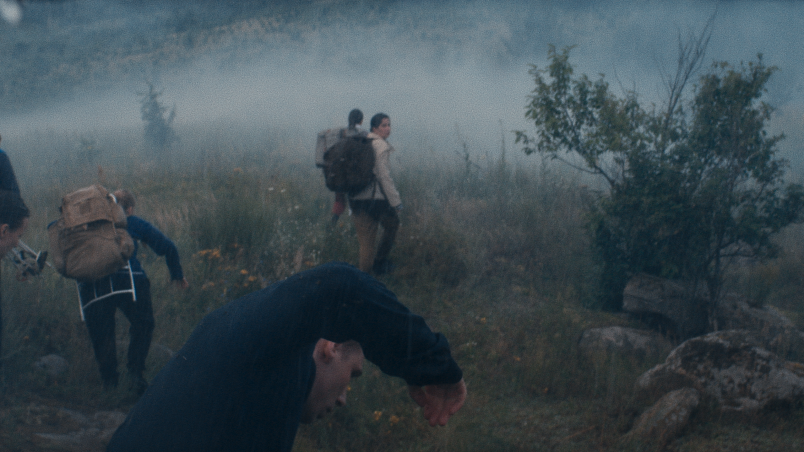 Дима Масленников «Новый перевал Дятлова». Цветокоррекция & Color Grading