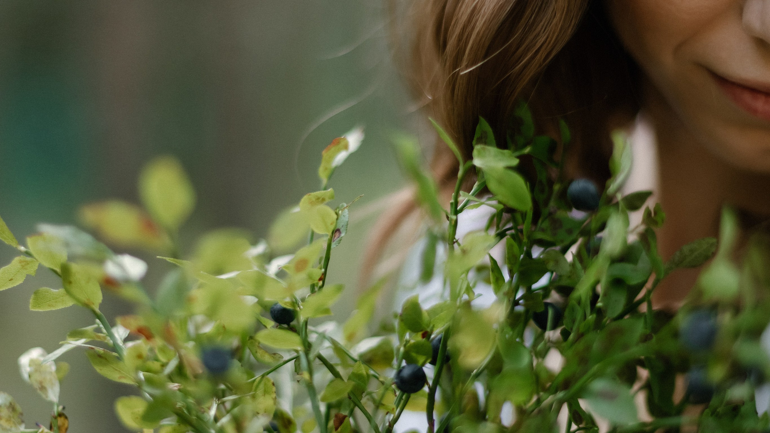 Букетик черники