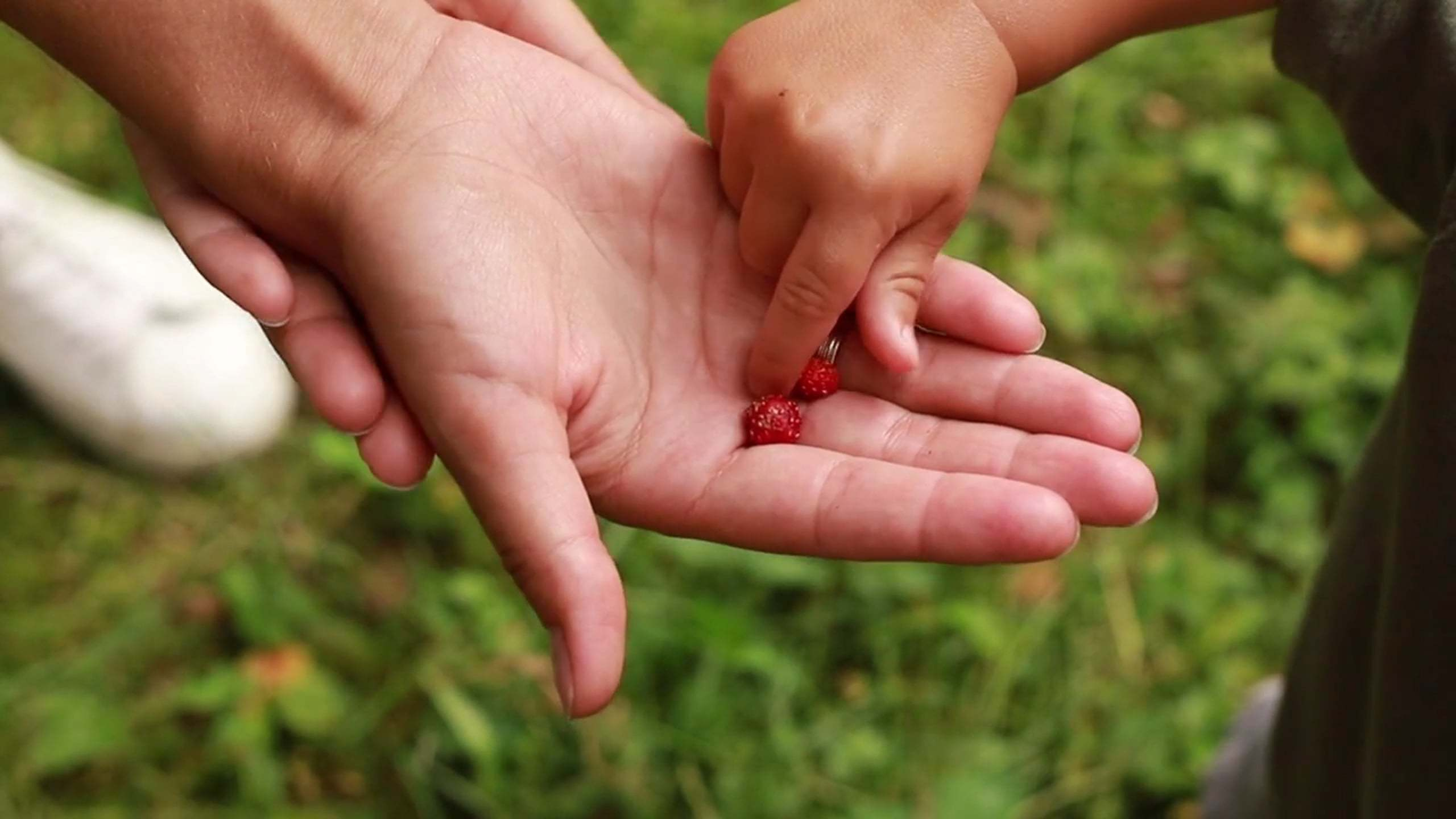 Фильм о семье. Семейный видеограф в Москве Юлия Матвейчик