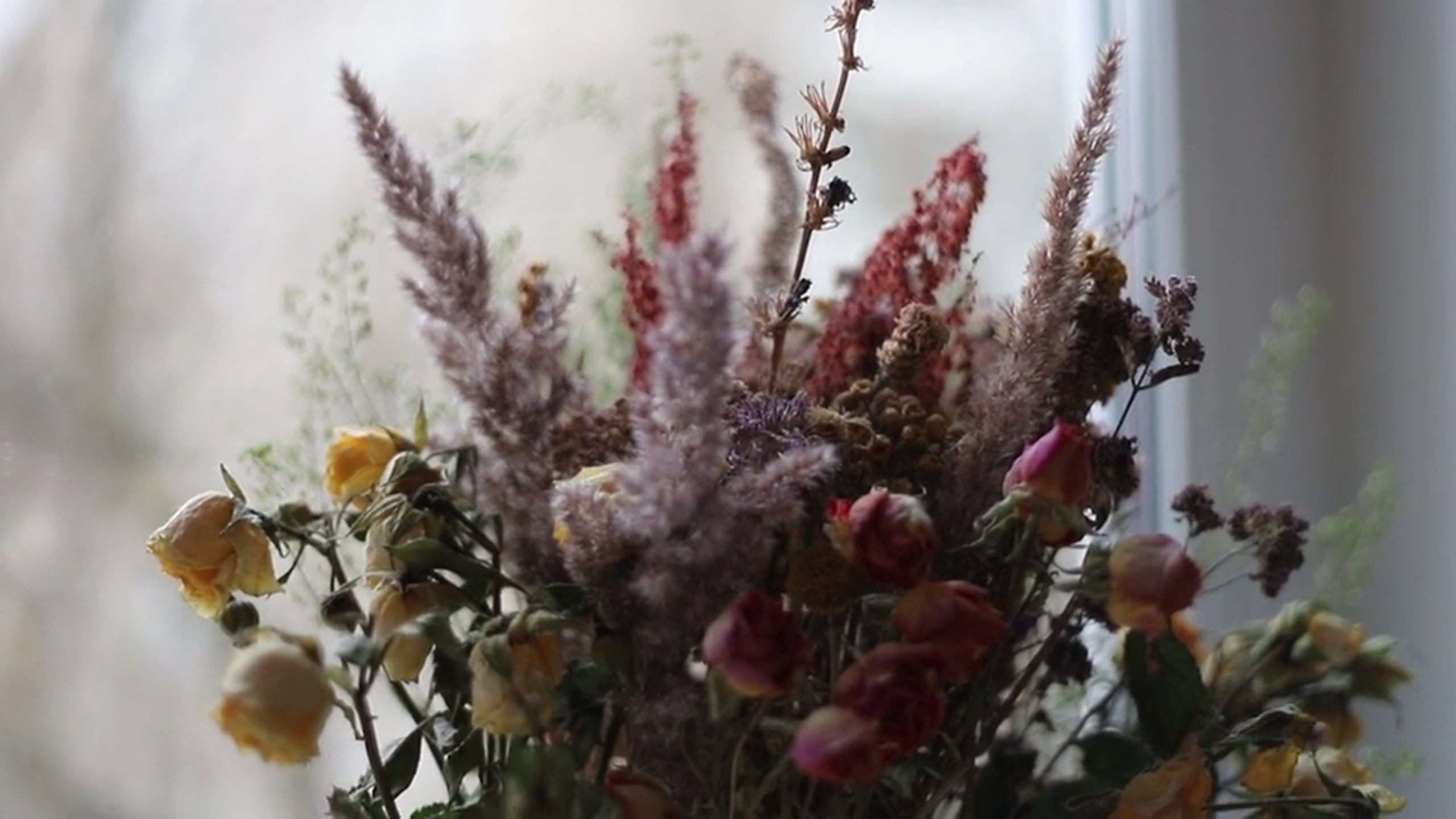 Портреты. Семейный видеограф в Москве Юлия Матвейчик