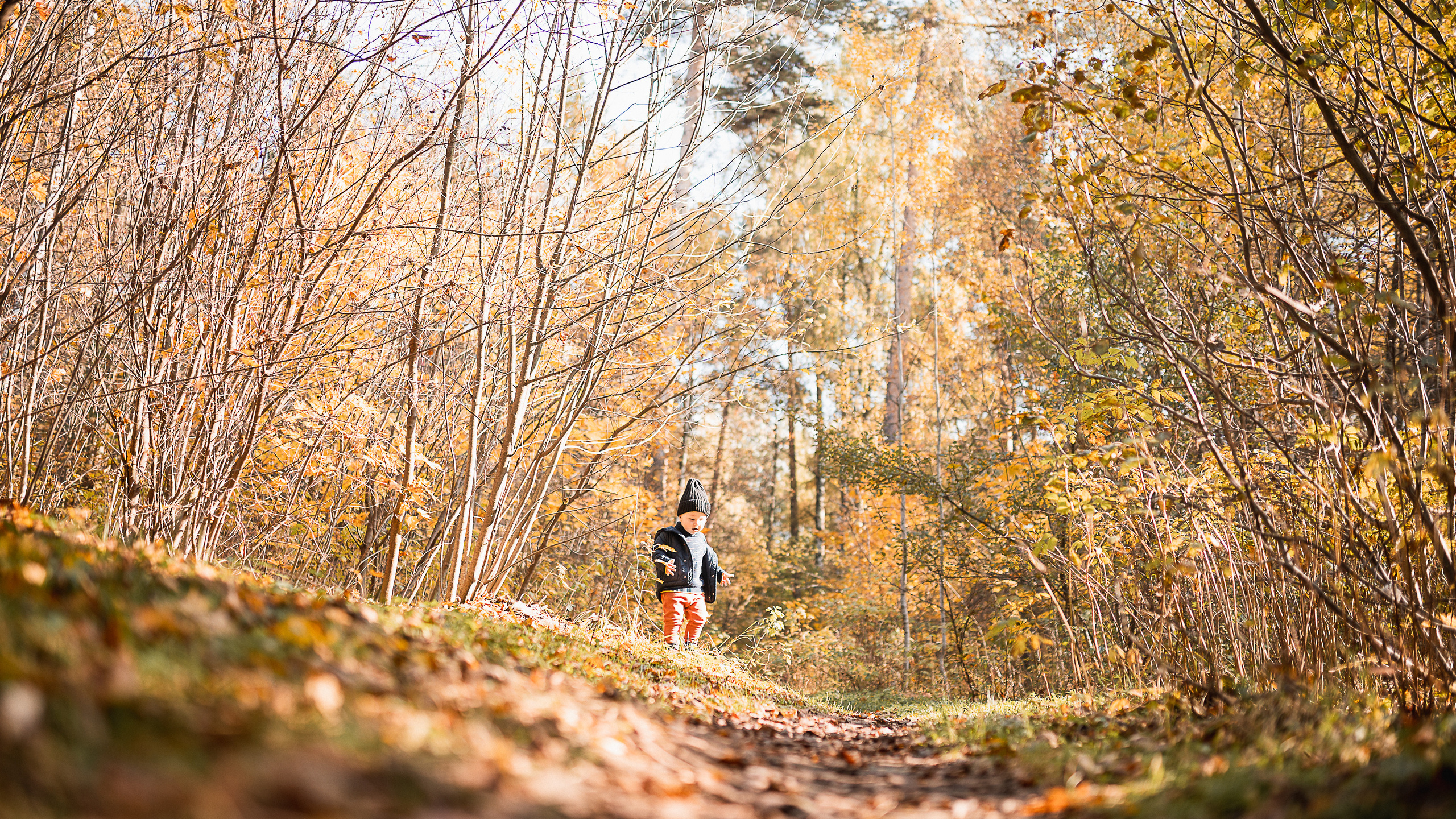 Золотая осень
