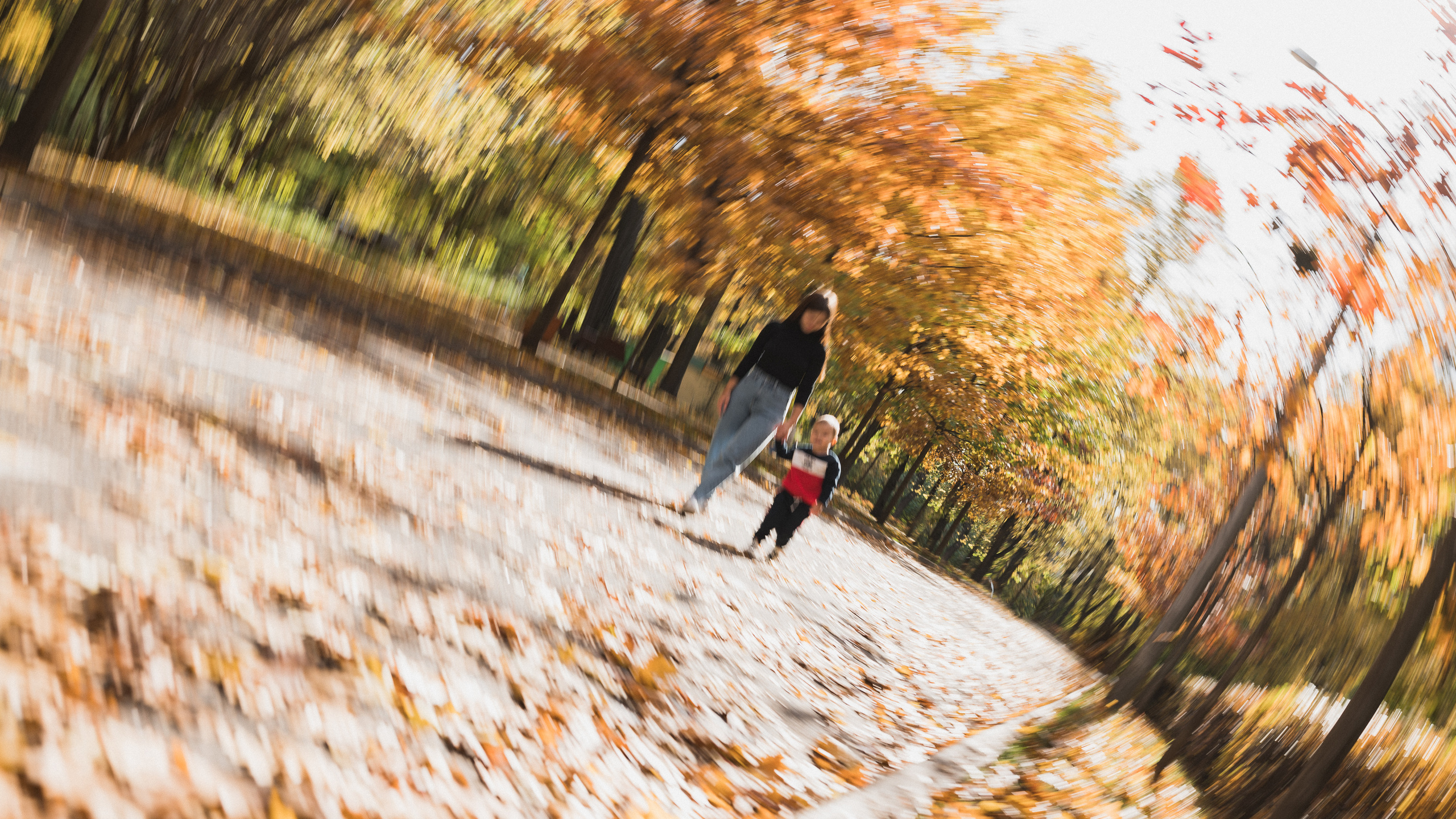 парк Сокольники