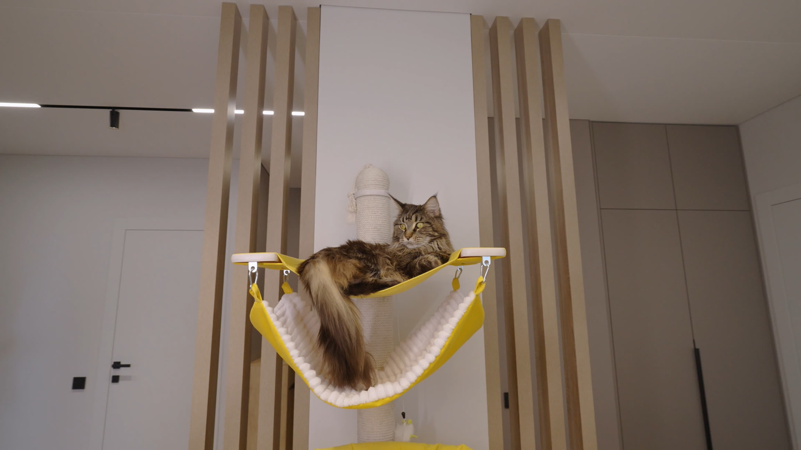 Интерьер видео. Андрей Троицкий фотограф&видеограф в Москве