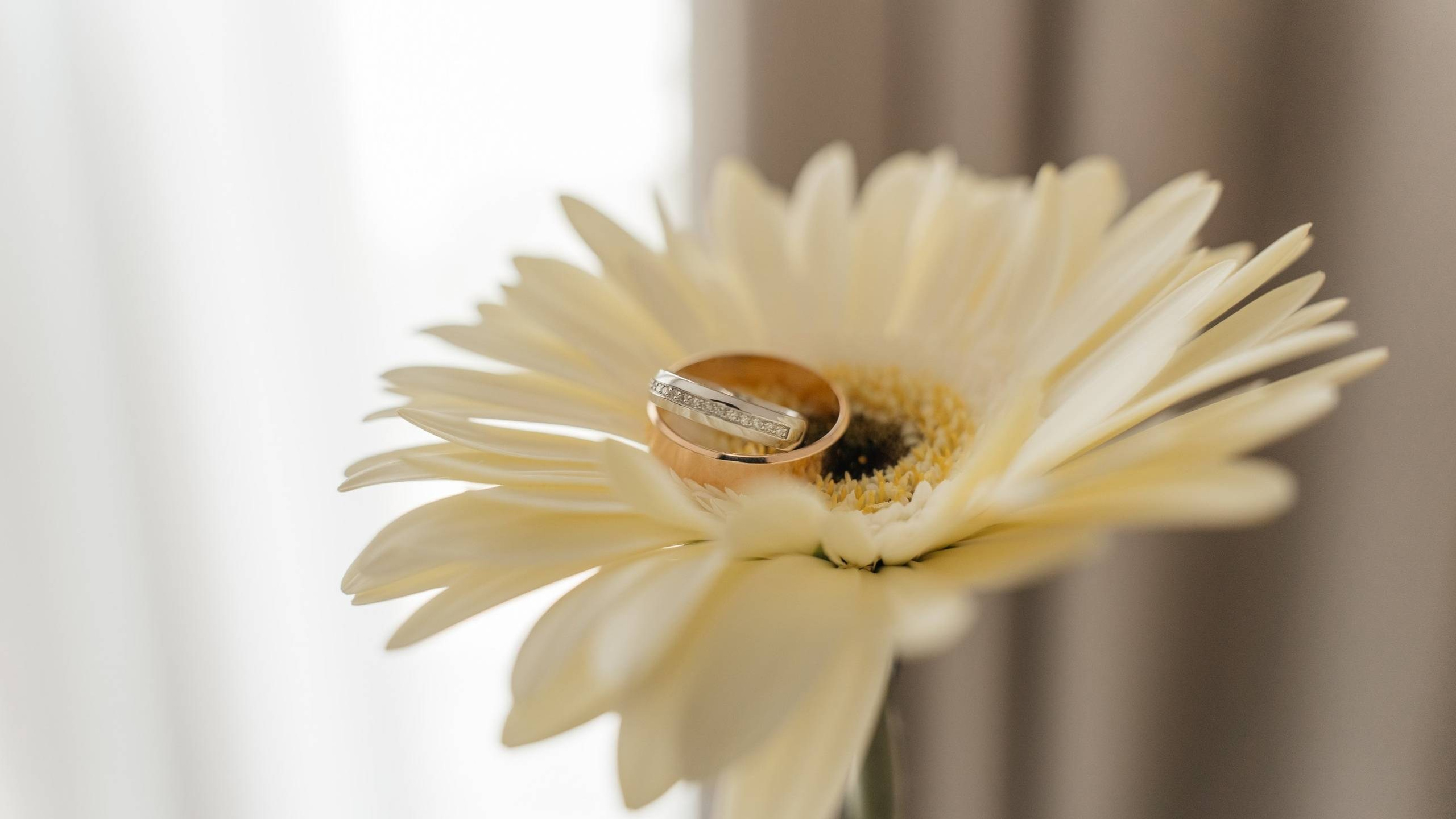 Никита и Нэсти. Алёна Наумова — профессиональный организатор свадеб и мероприятий в Краснодарском крае и на побережье