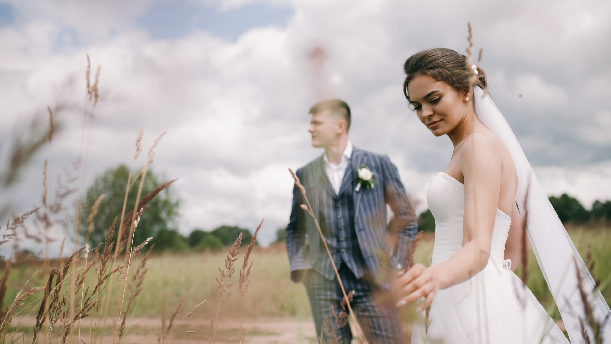 Летнее солнце в лесу