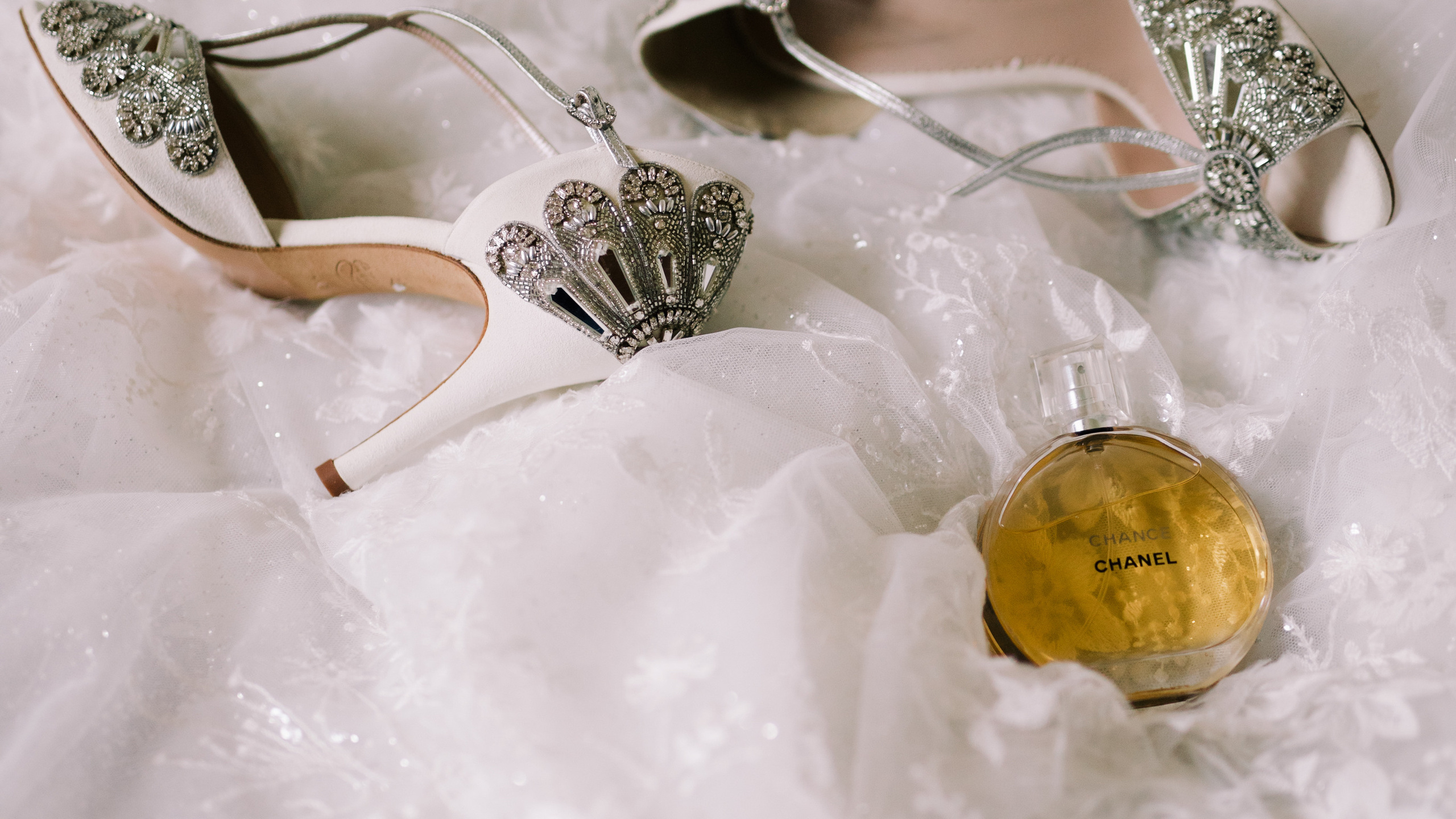 Выживут только любовники