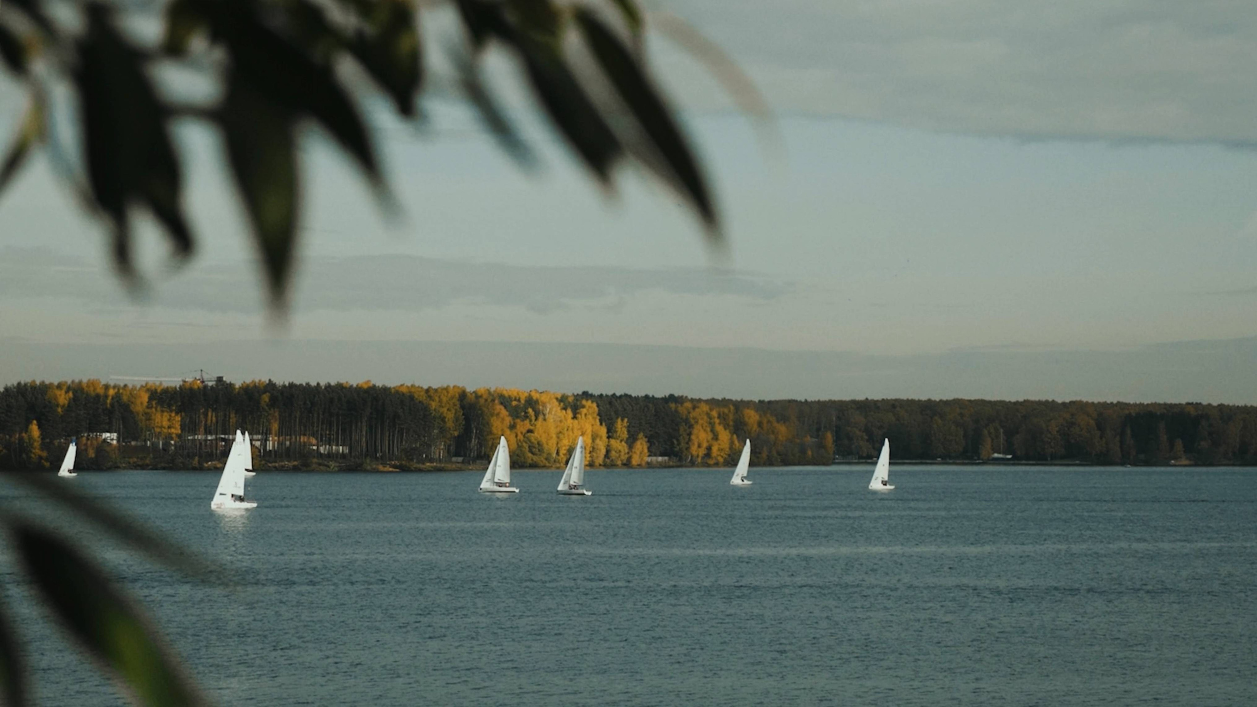 КЛИПЫ РЕКЛАМА. MOVIS PRODUCTION