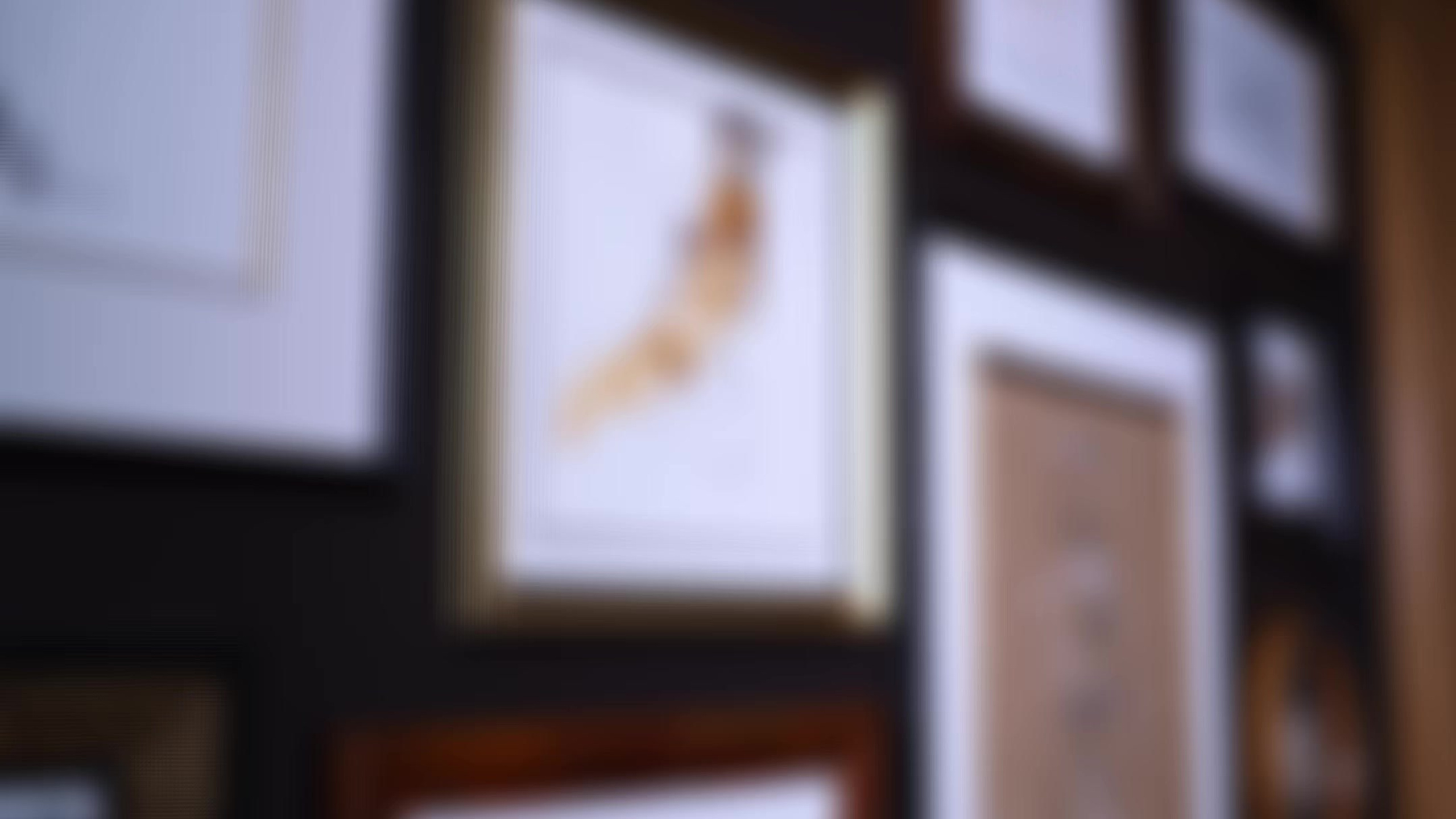 Разговорные видео. Видеограф Москва