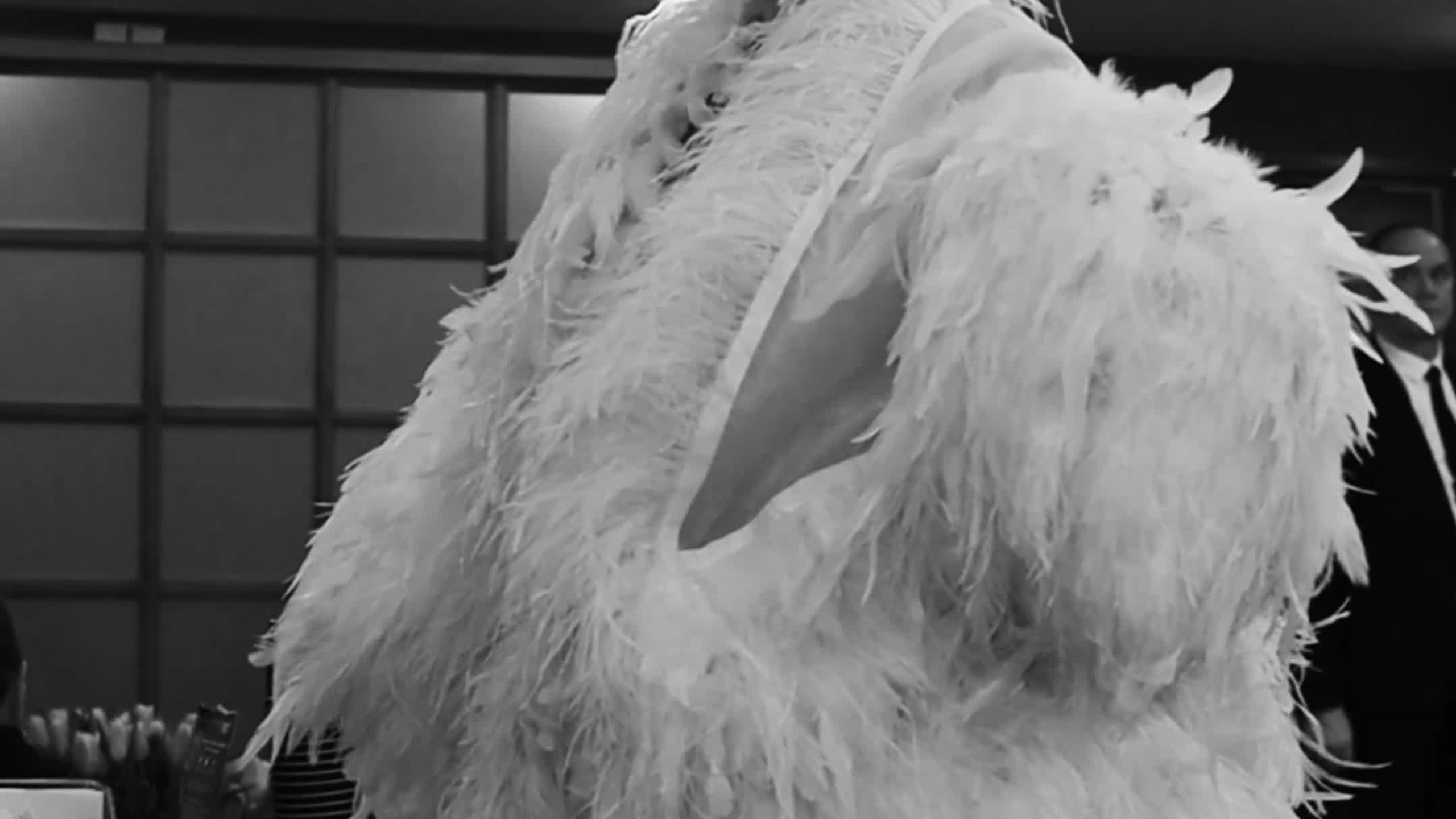 8 разгневанных женщин. Видеограф Москва