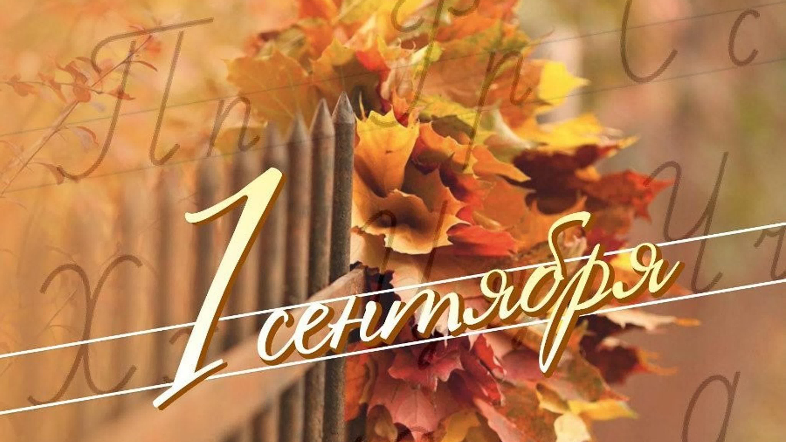 1 сентября — видео. Kids71 — Детская фото и видеосъемка, утренники, выпускные в Туле — ТулаФильм