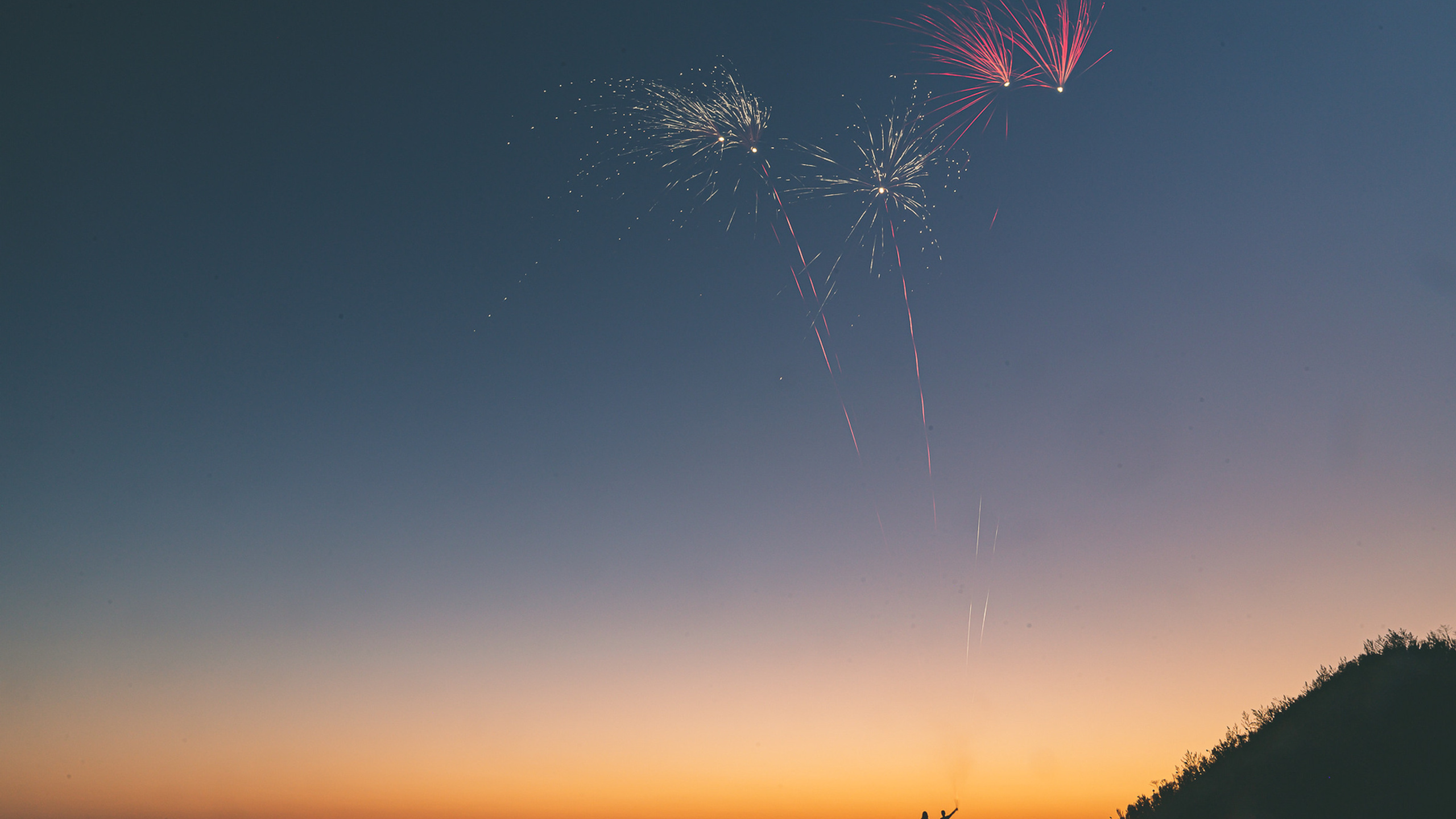 Артем и Анна