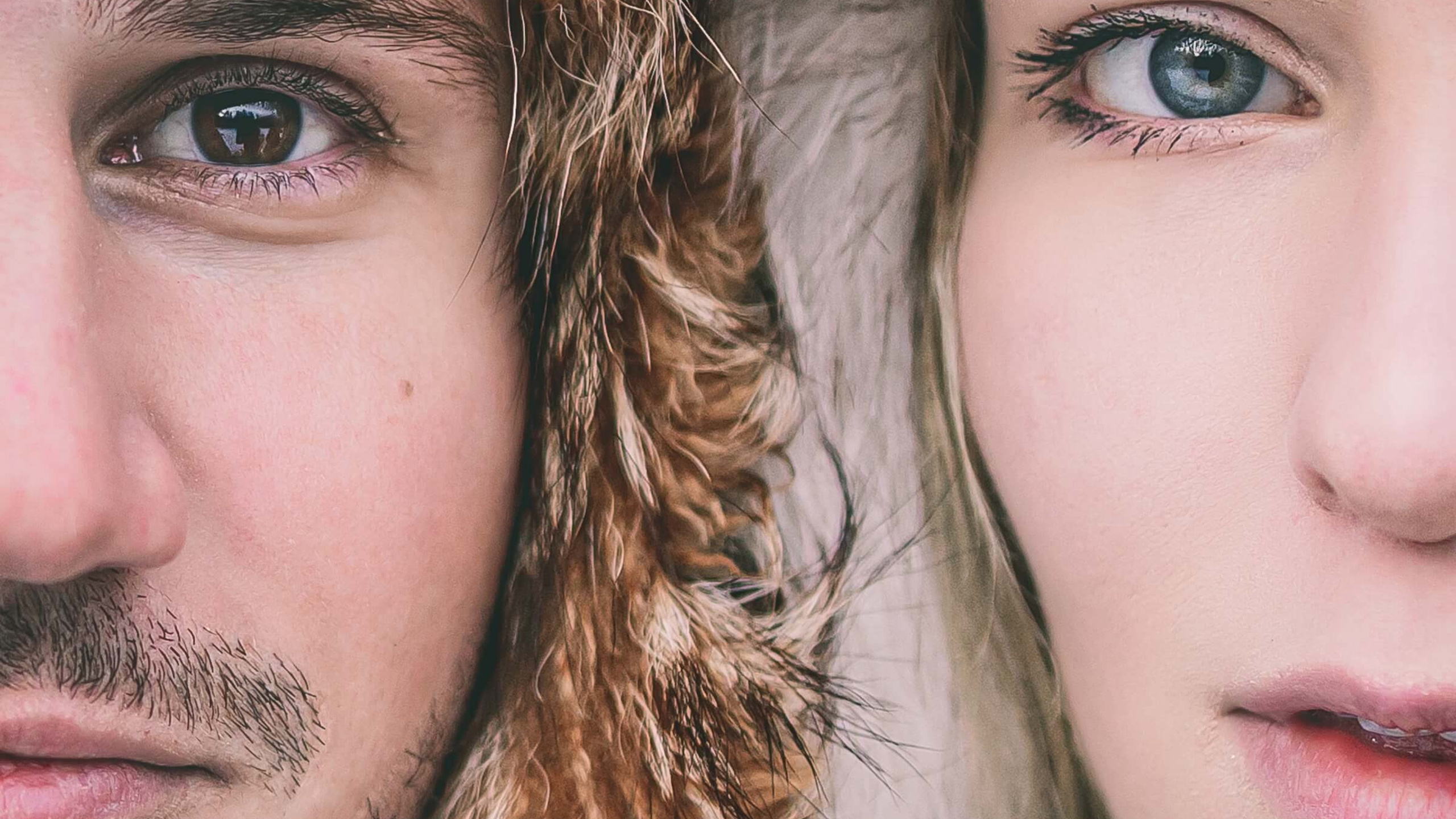 Артур и Алёна