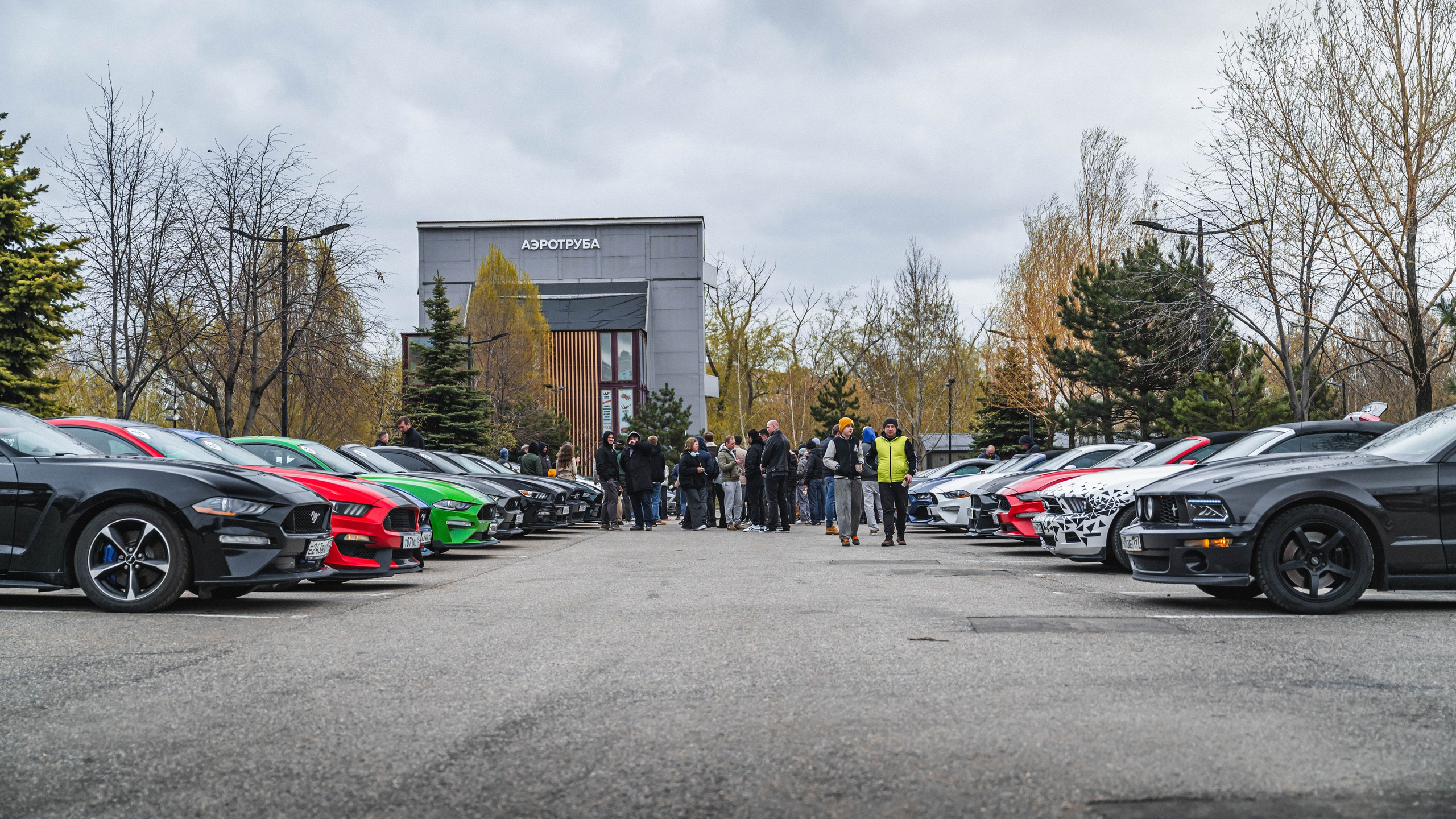 Сбор Mustang Club