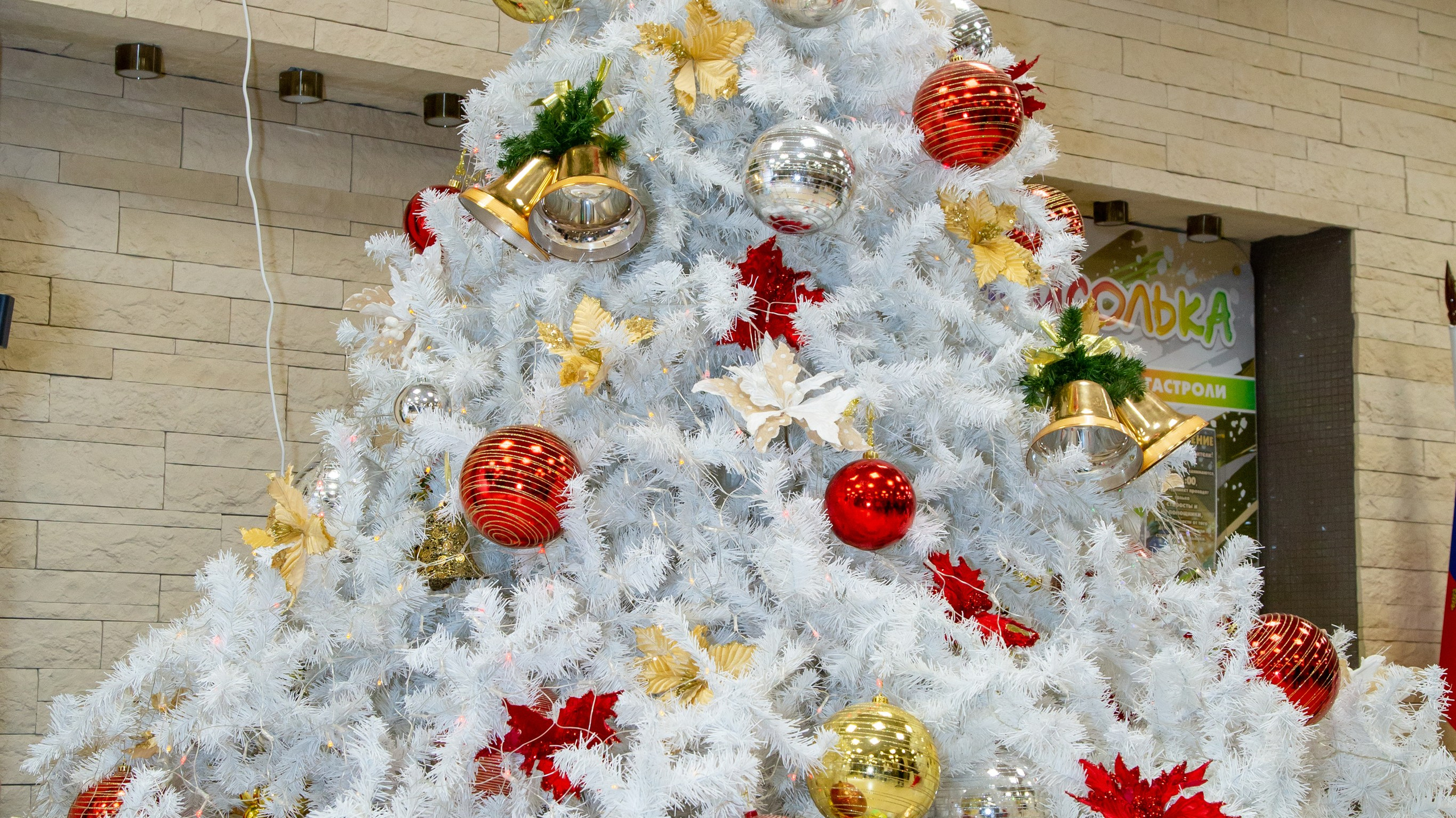 Новогодняя съёмка «Встреча выпускников»