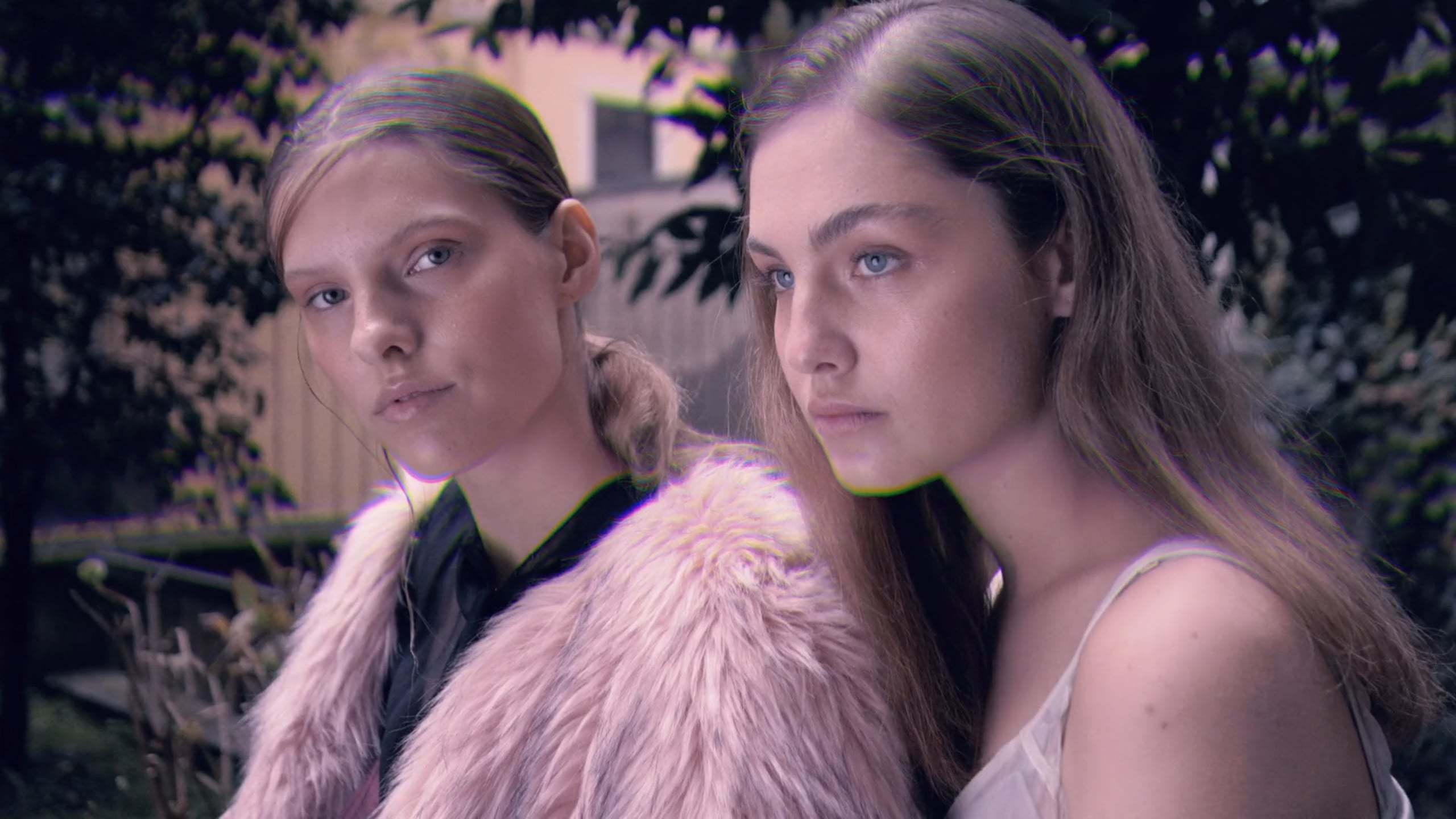 Beyond a shadow of a doubt. VIDEO