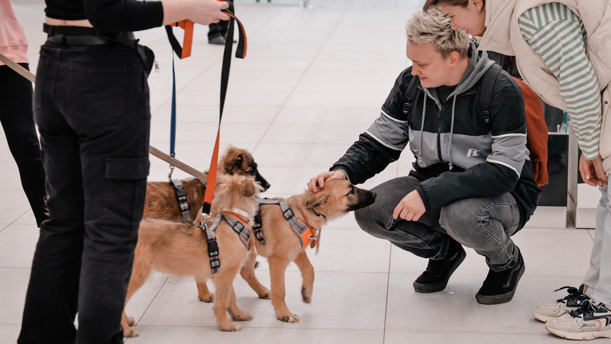 Видео работы. Фотограф и видеограф — Москва