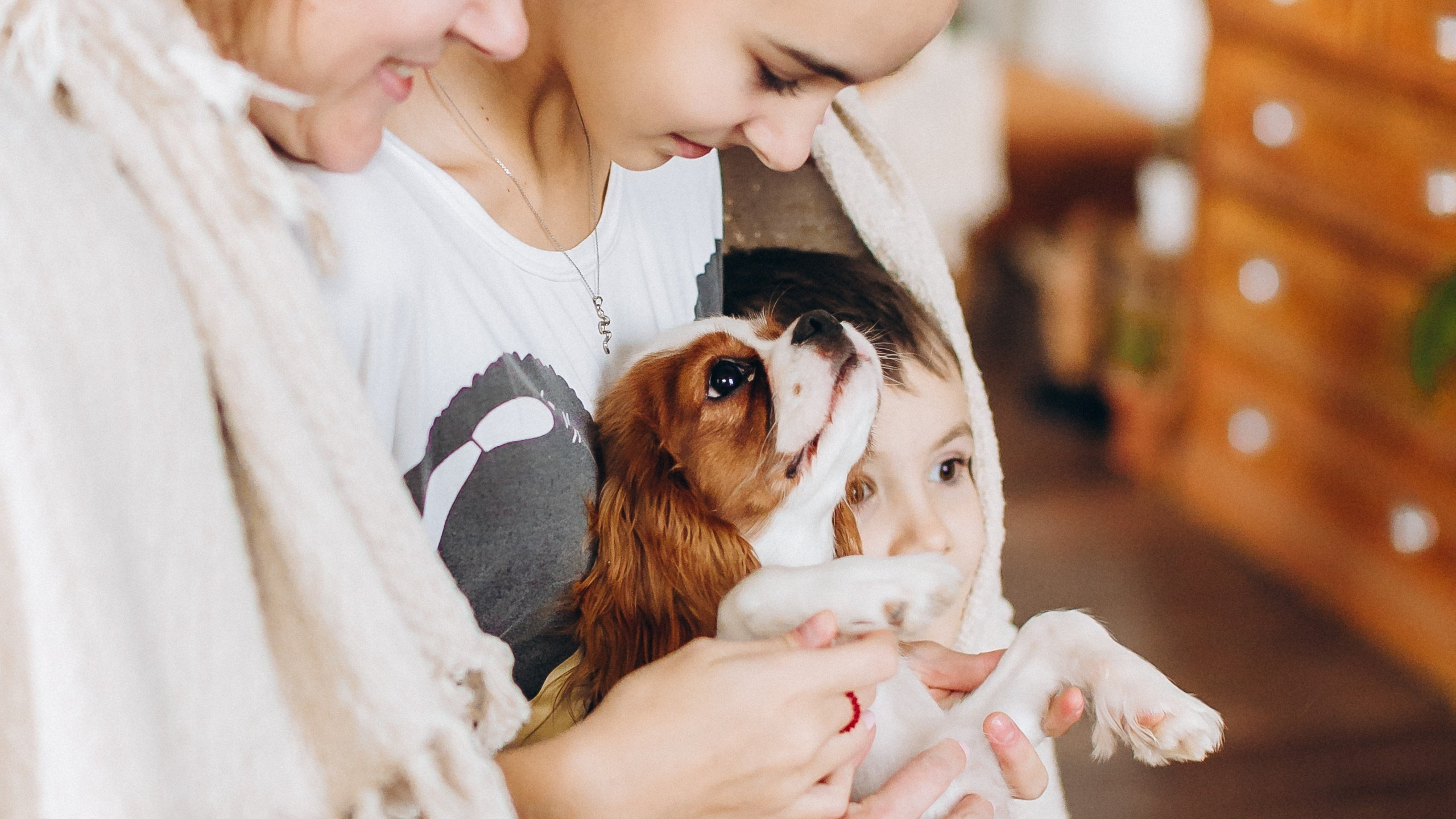 Новогодние фотосессии