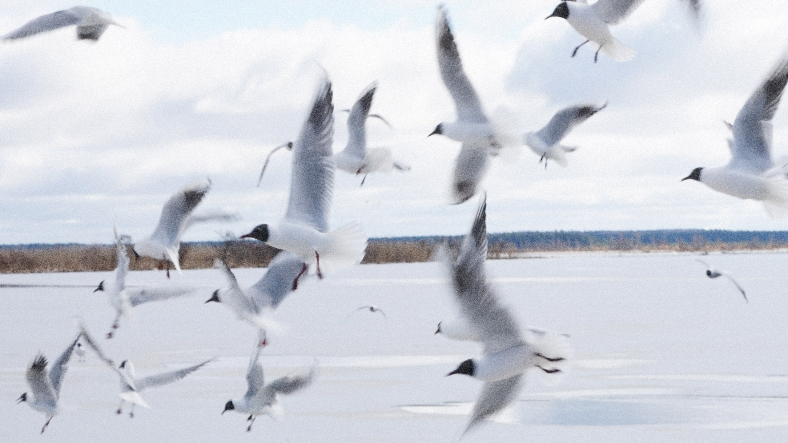 Urban. Фотограф из Санкт-Петербурга