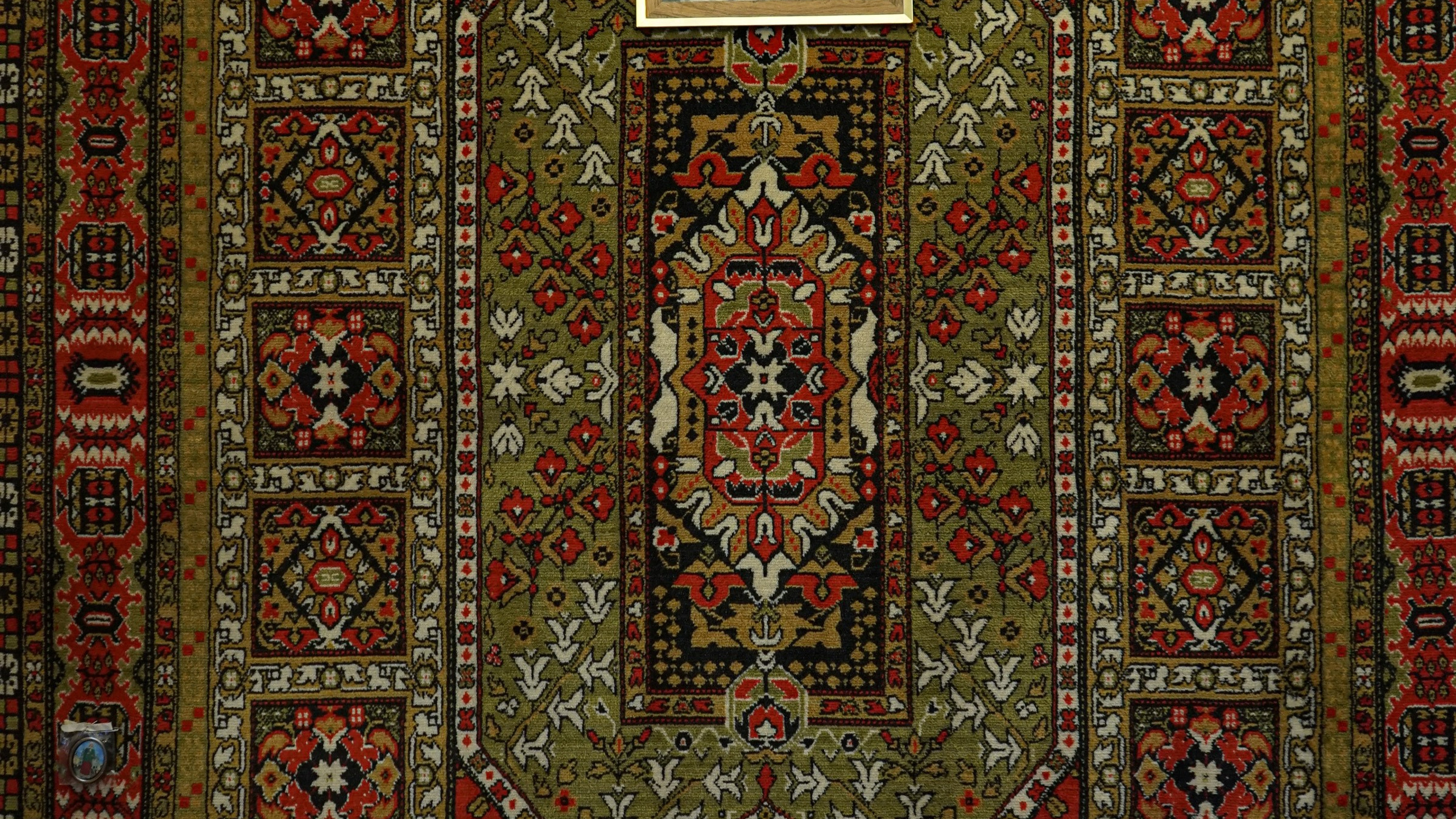 Когда зацветут сады. Фотограф из Санкт-Петербурга