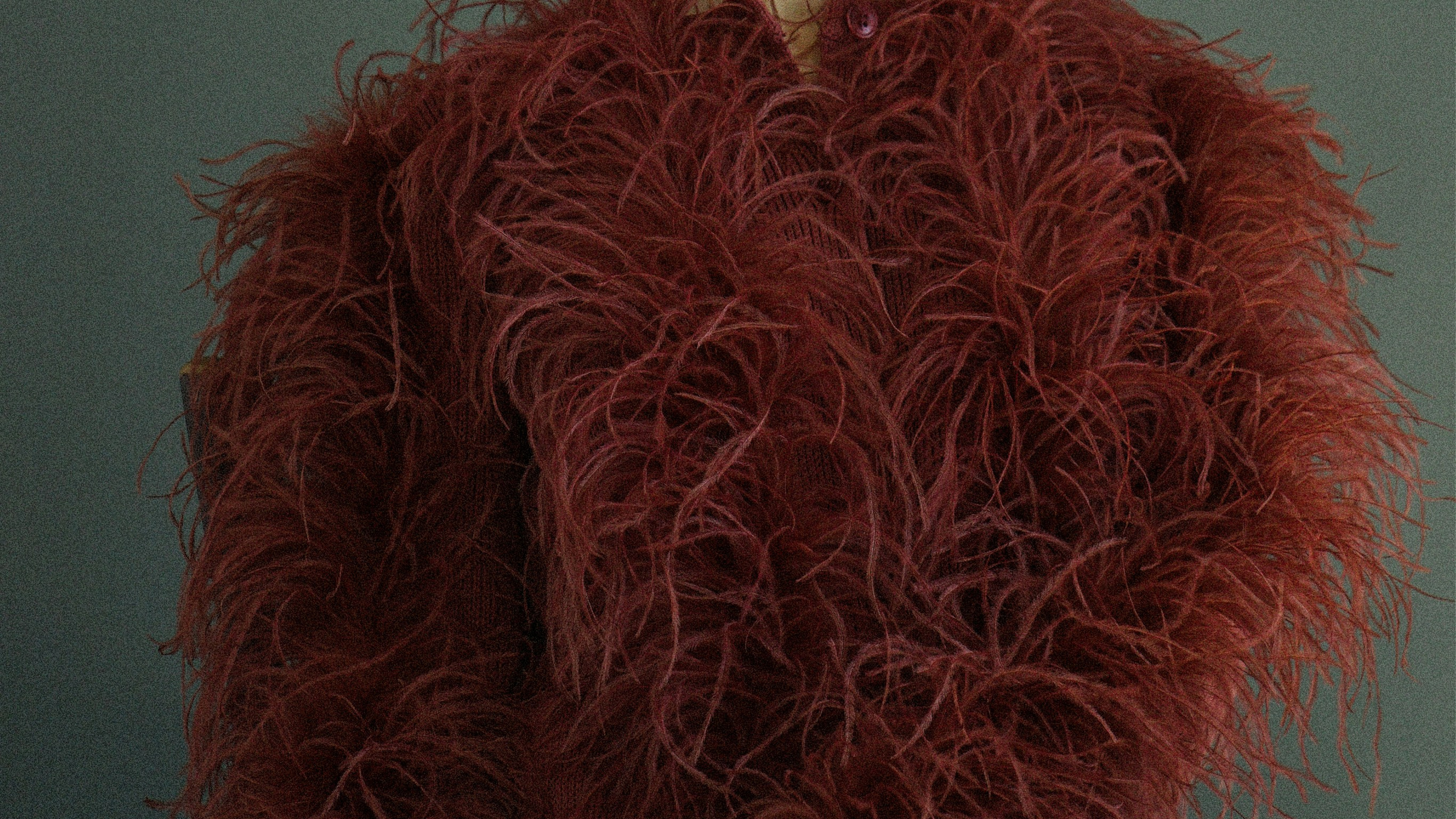 Портреты. Фотограф из Санкт-Петербурга