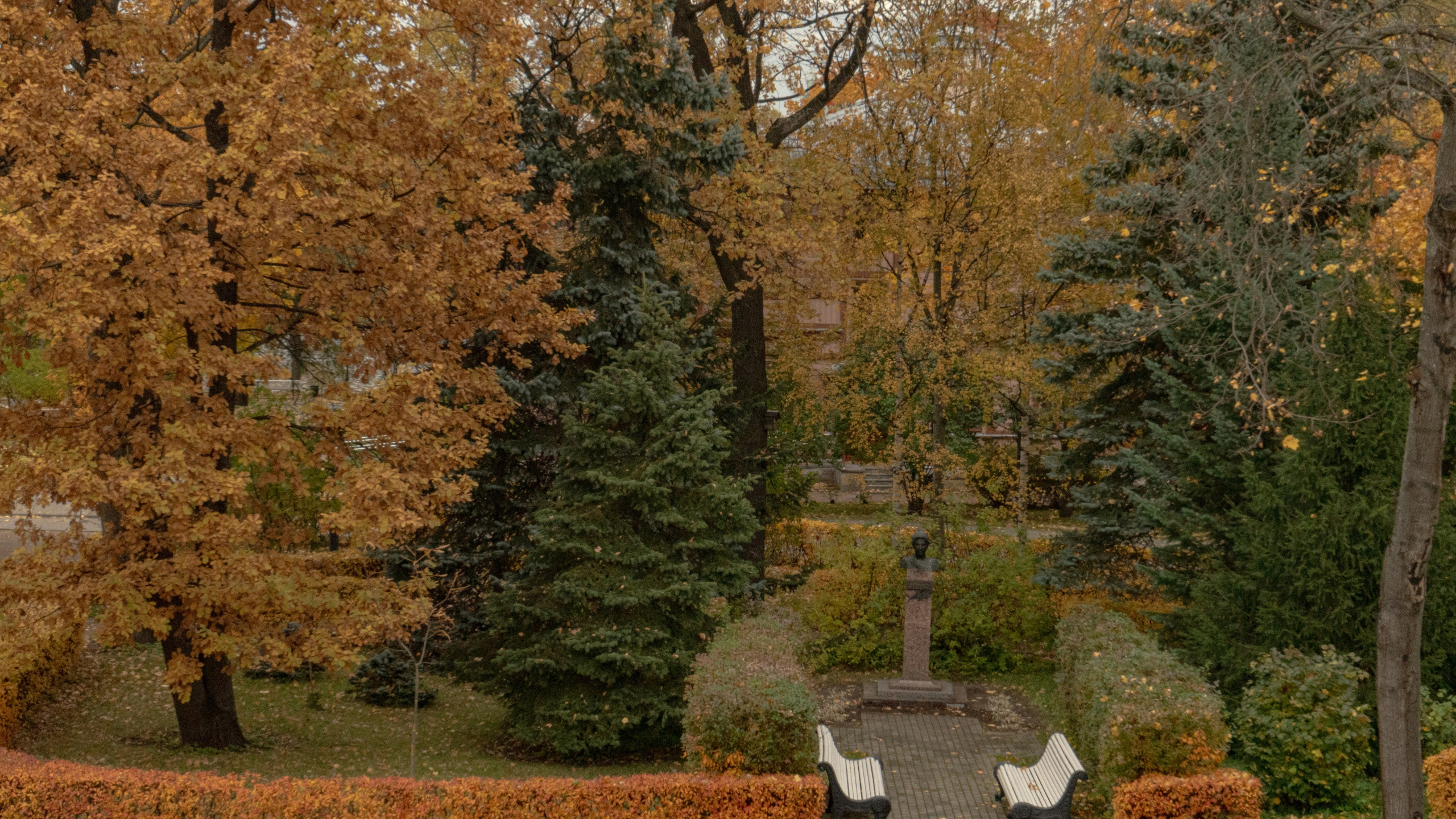 Когда зацветут сады. Фотограф из Санкт-Петербурга