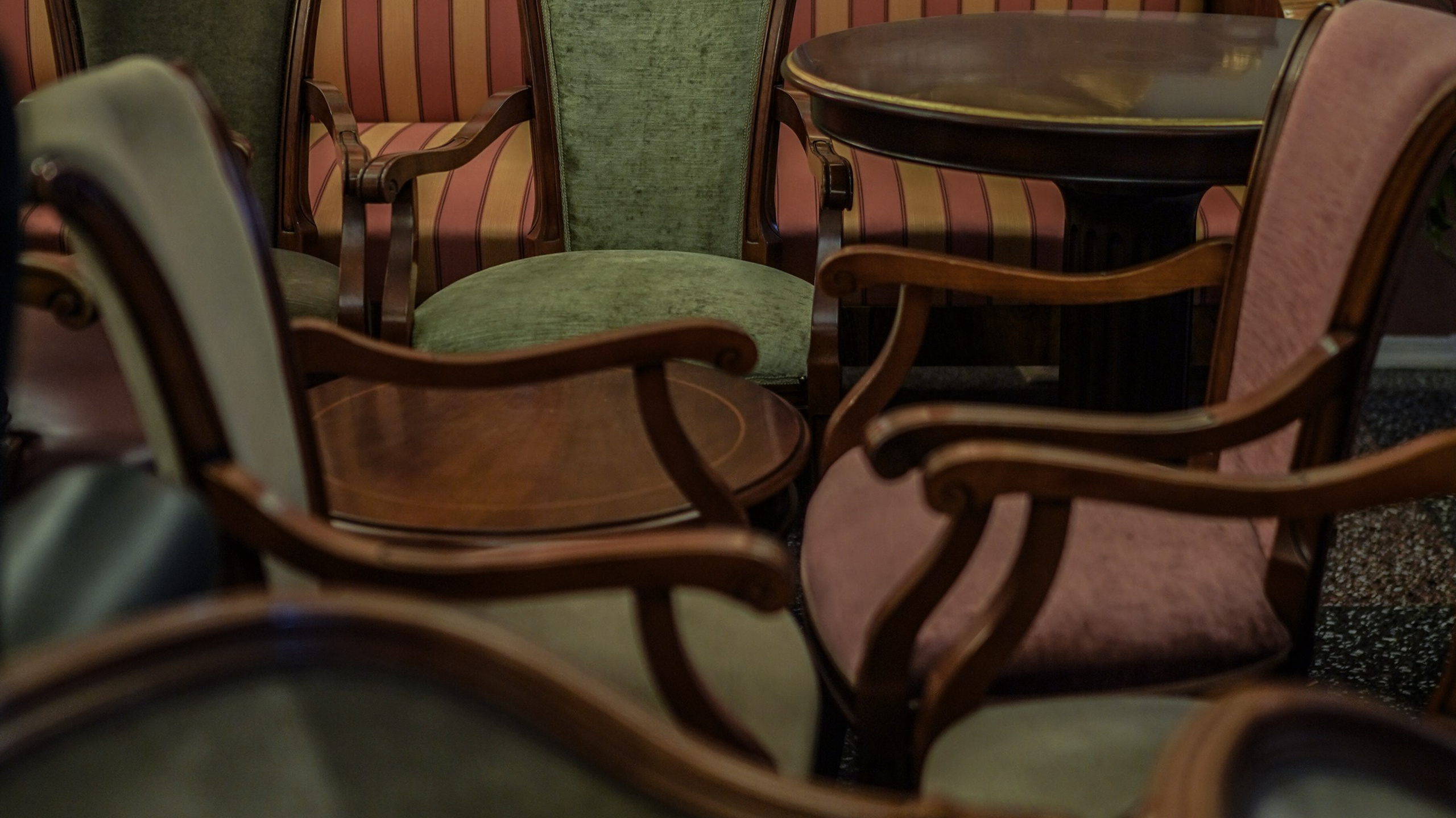 Когда зацветут сады. Фотограф из Санкт-Петербурга