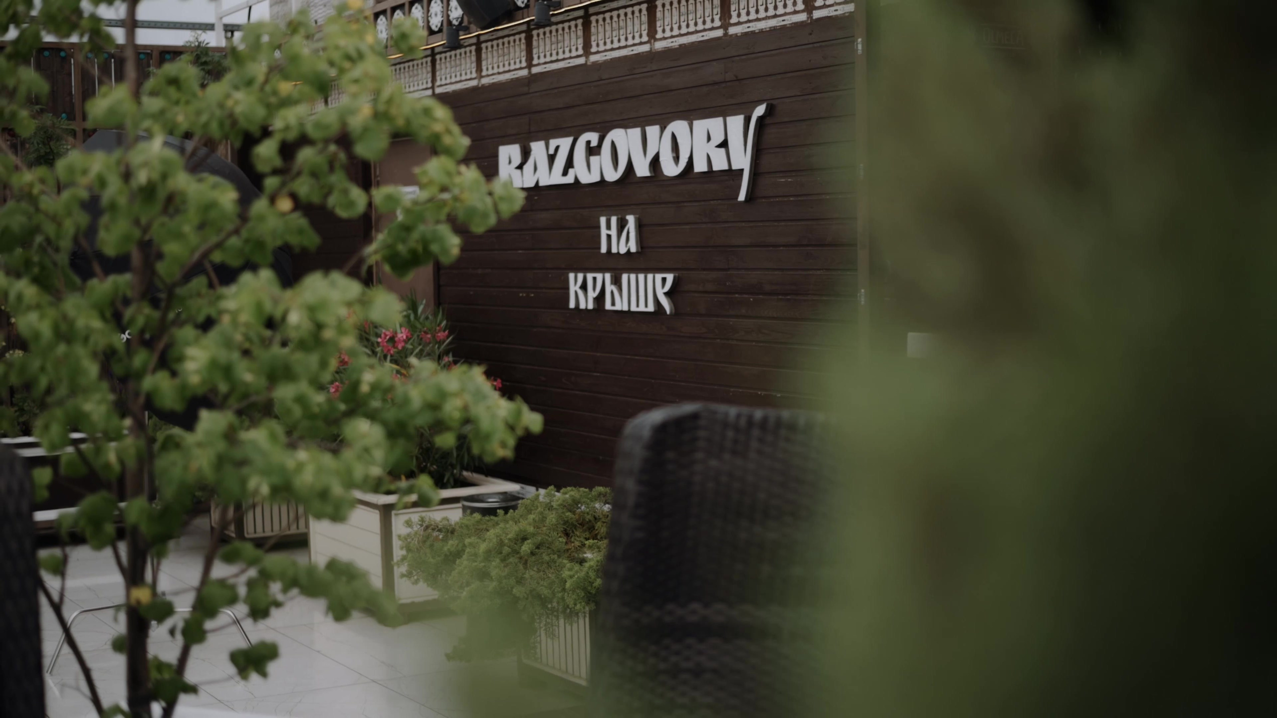 SDE (ролик, снятый и показанный в день съёмки). Видеограф Александр Ямпольский