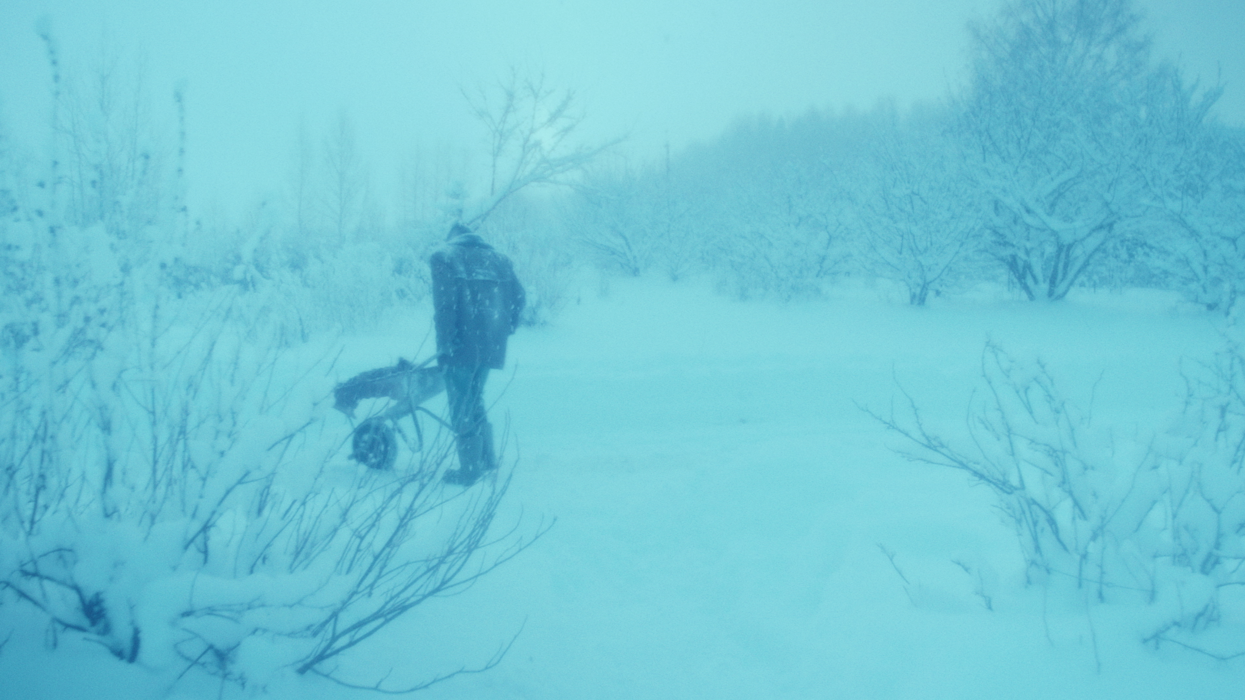 If you become human, who will swim for you