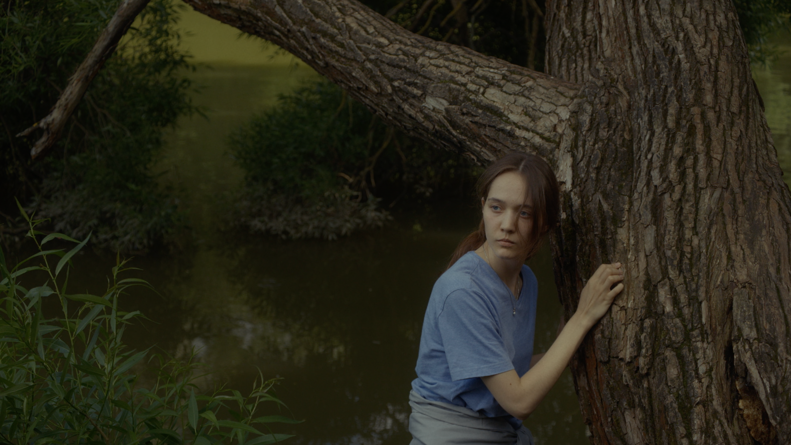 The limits of the world