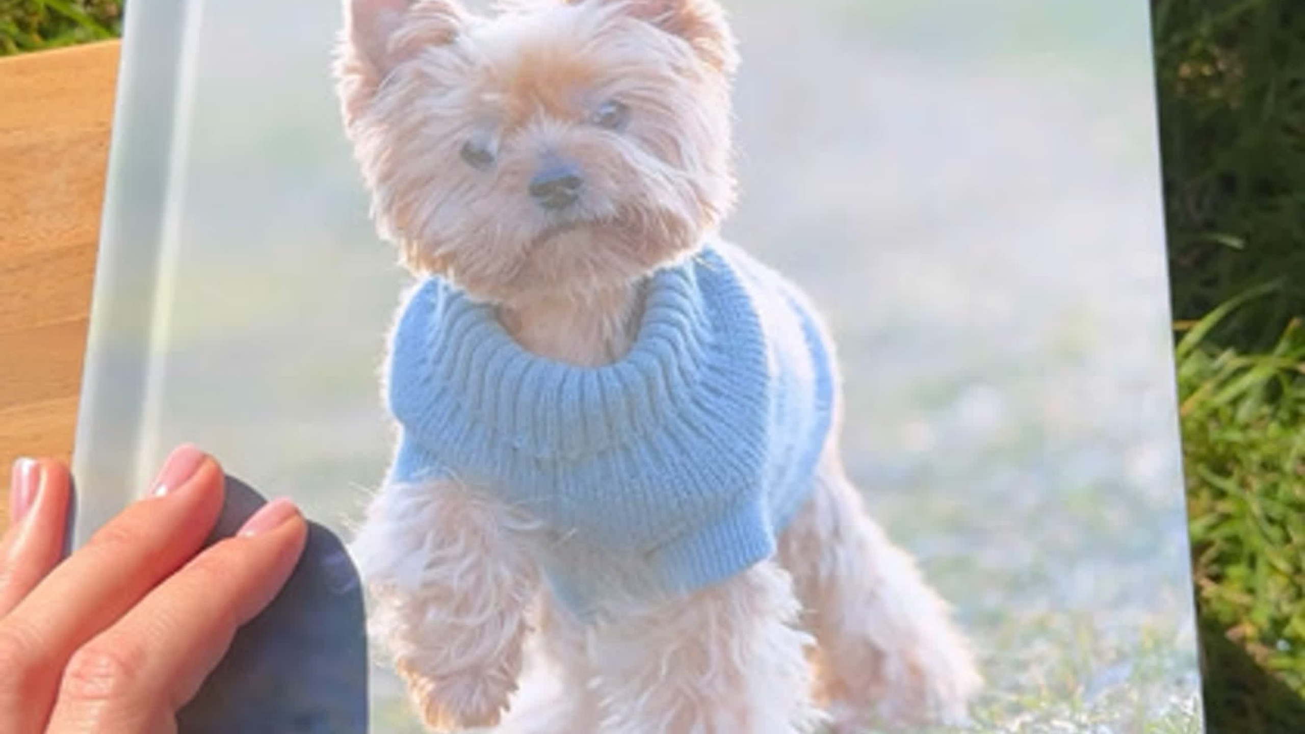 ФОТОКНИГИ. Профессиональный фотограф в Москве  Елена Фатьянова