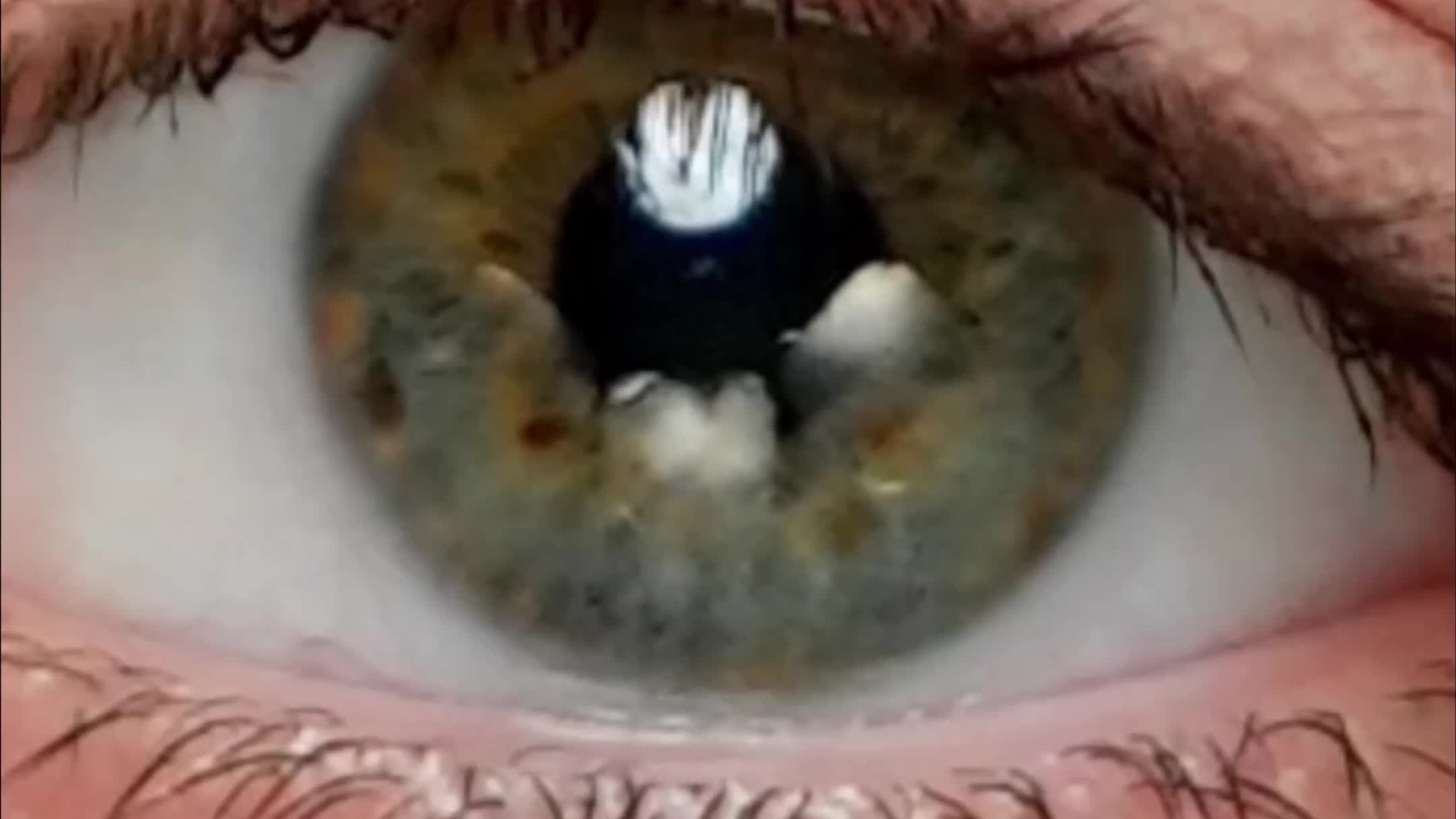 Туся актерское портфолио. Портретная съемка в Москве, студийный фотограф Игорь Фомин