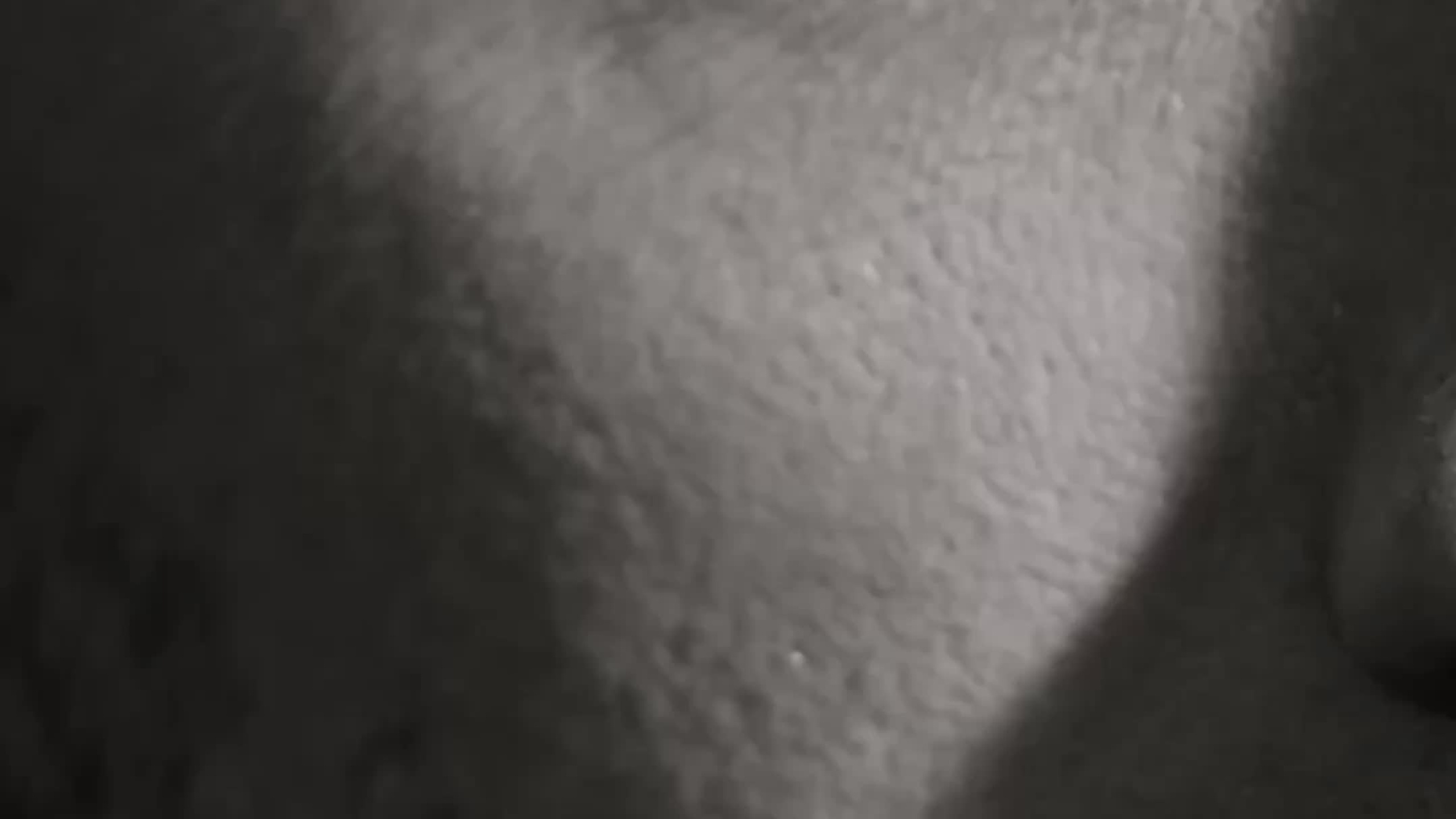 Алексей портреты. Портретная съемка в Москве, студийный фотограф Игорь Фомин