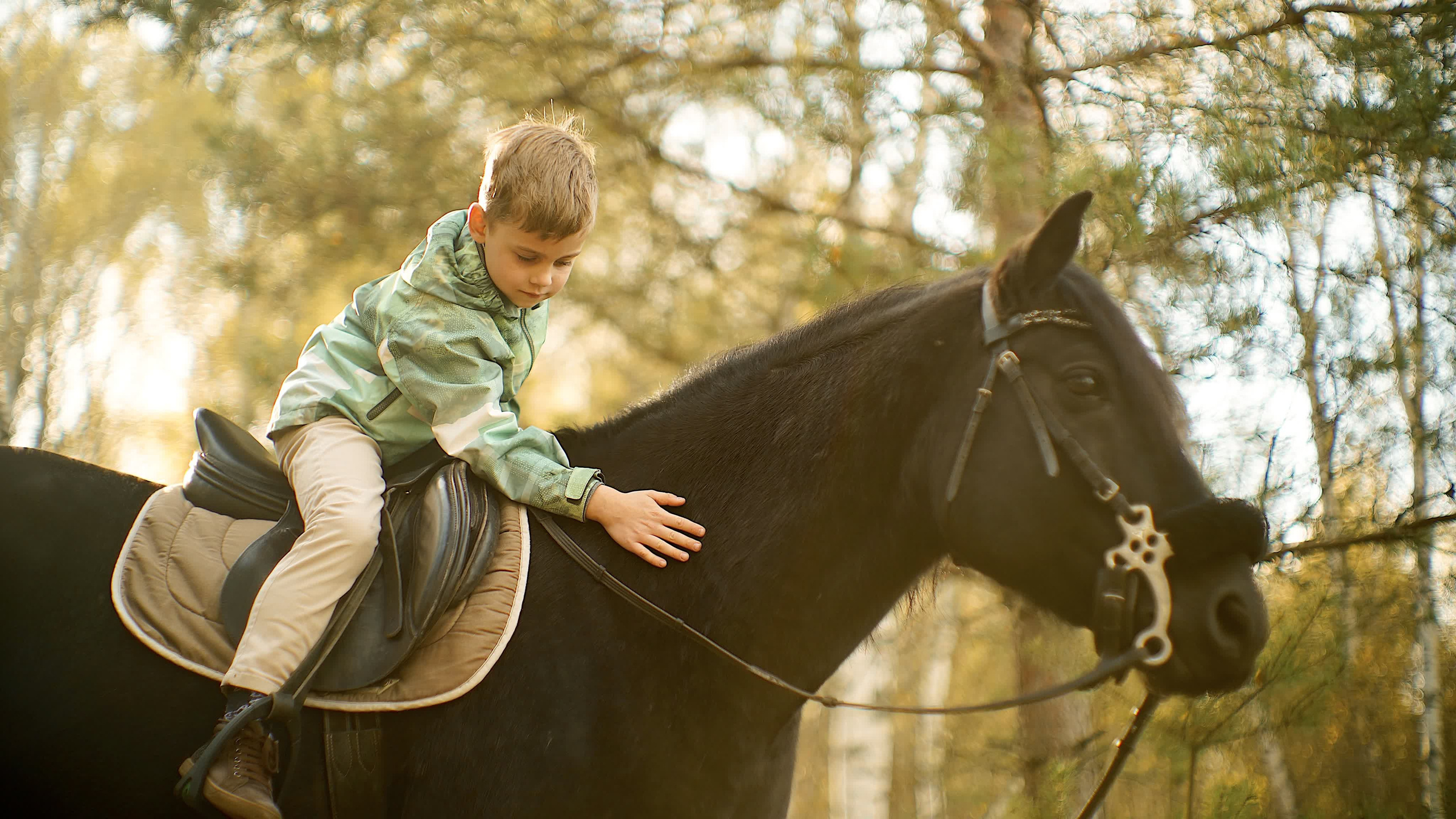 Документально о любви. Алина Горбанёва, Видеограф в Москве