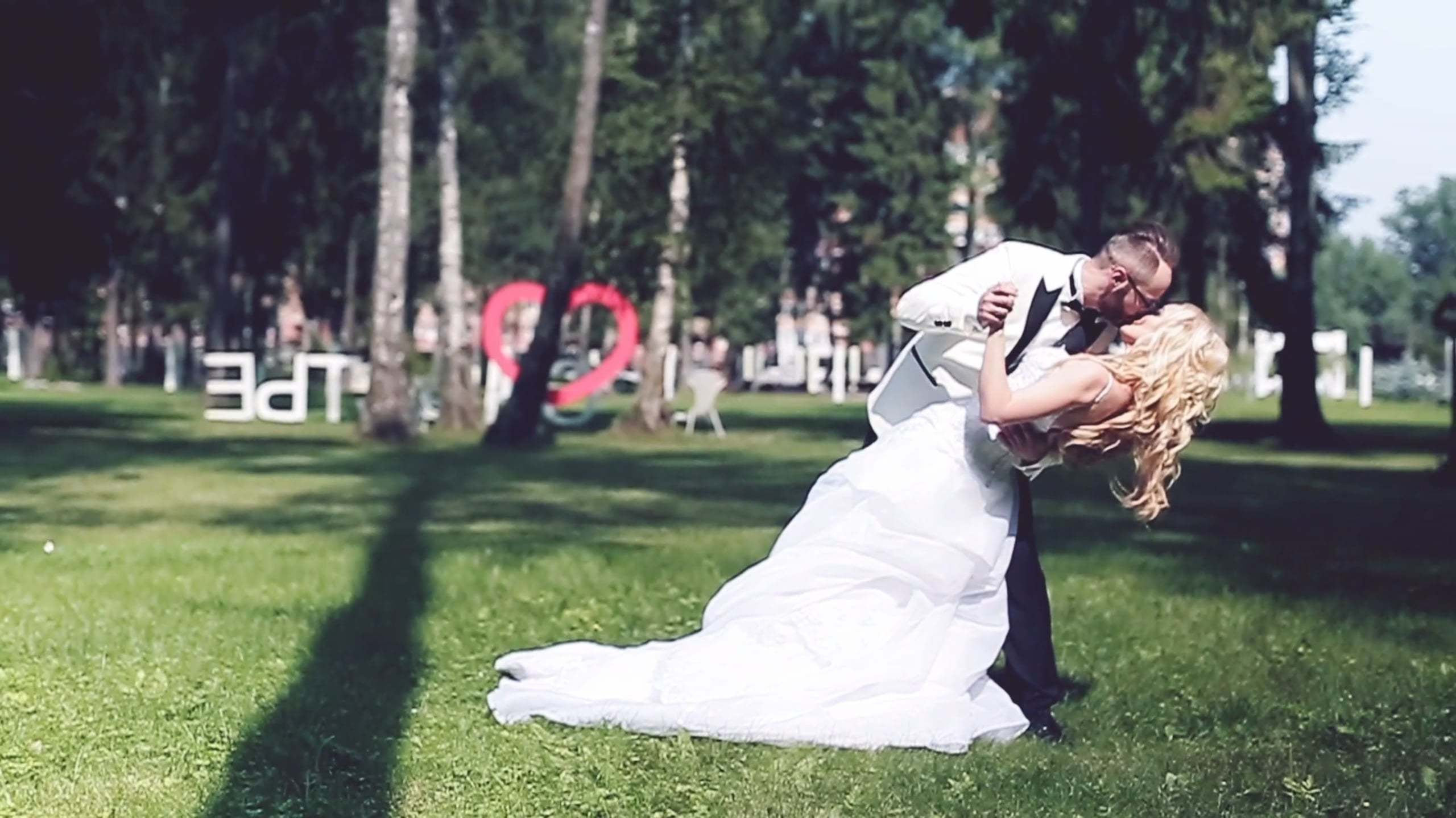 Свадьба Владимира и Алены 15 июля 2016 года. Ведущий на свадьбу, корпоратив и юбилей в Москве Сергей Рябинин