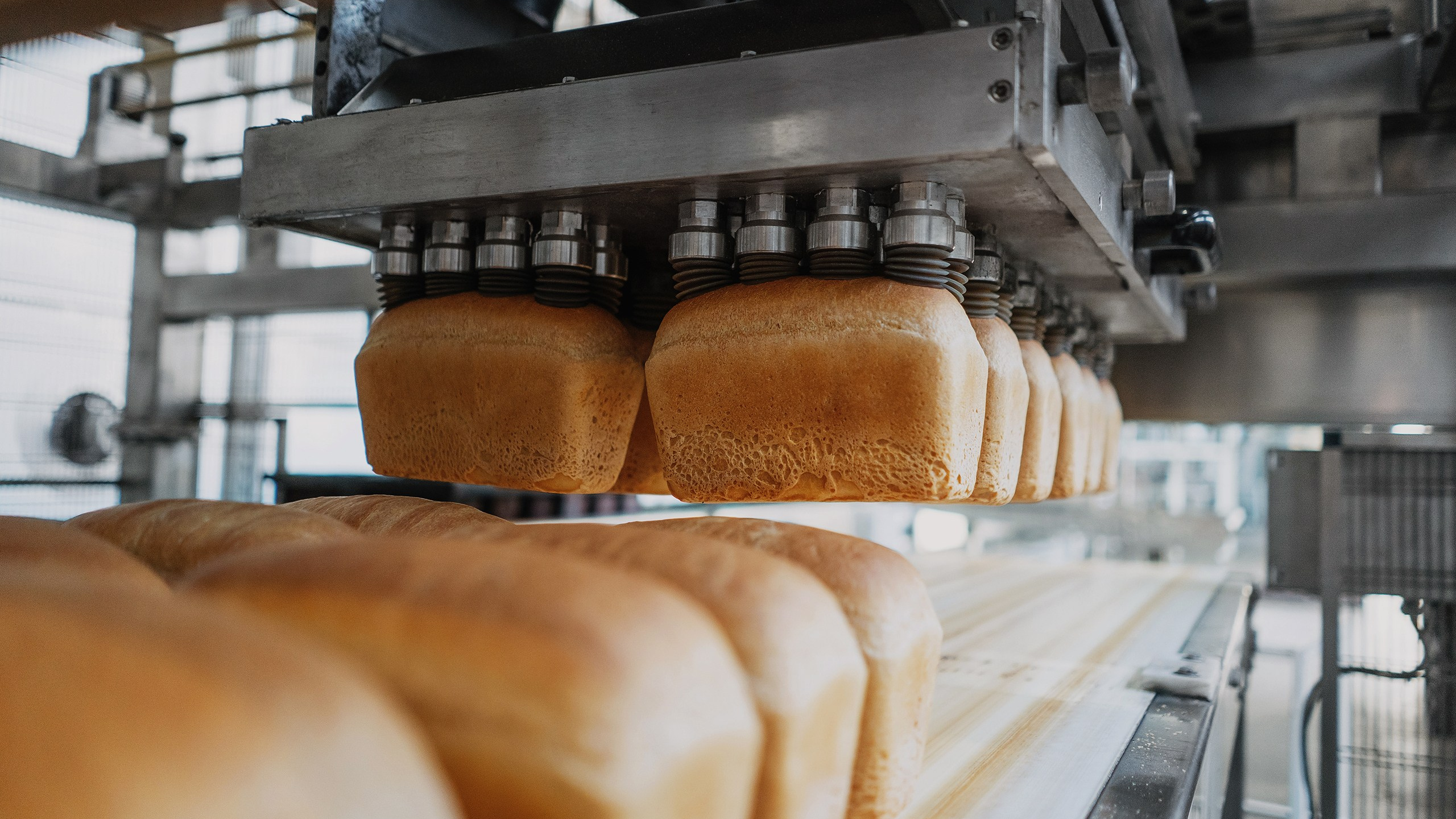 ОАО&nbsp;«Хлебодар» (2019)