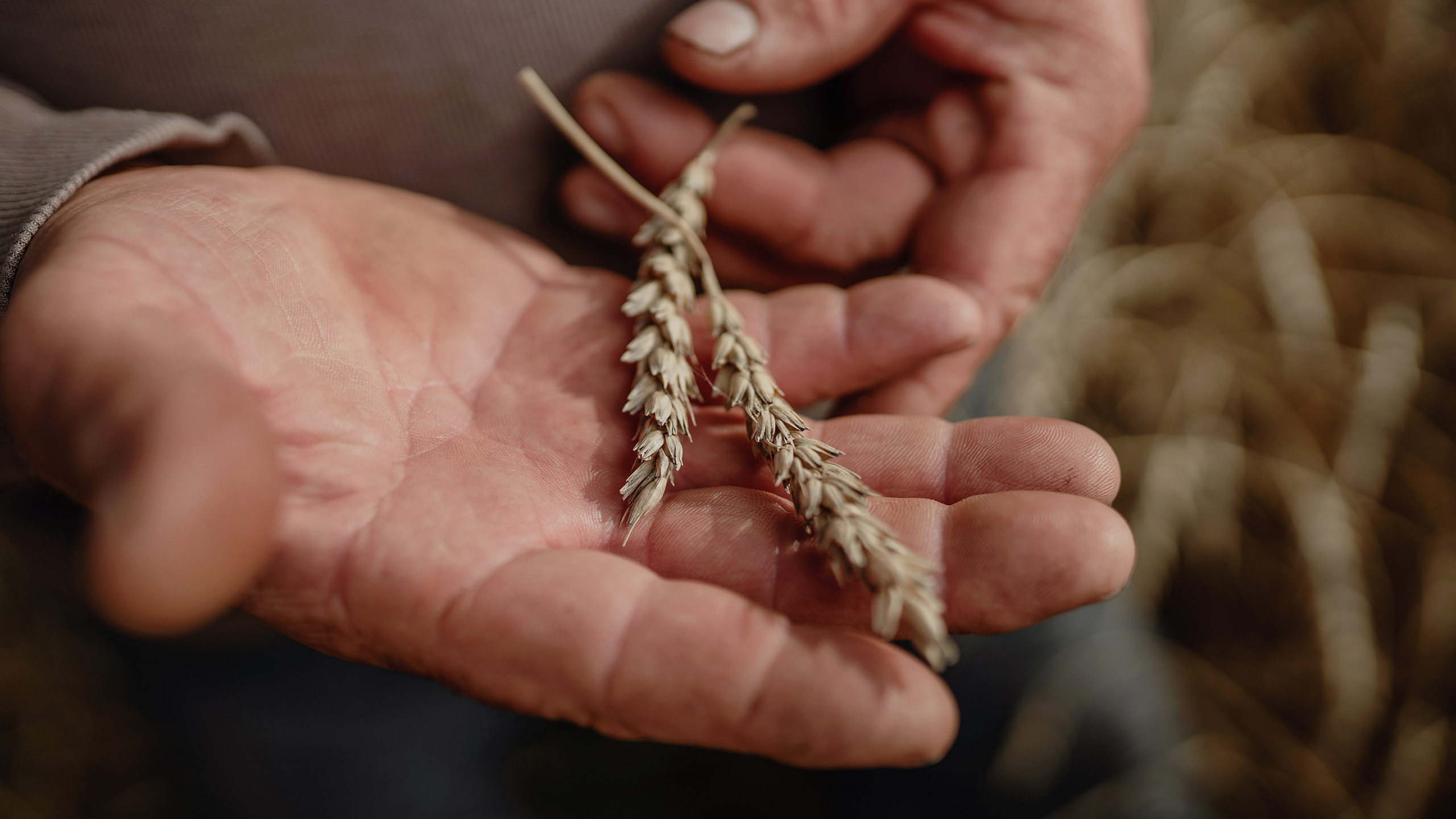 ООО&nbsp;«Северо-Любинский» (2019)