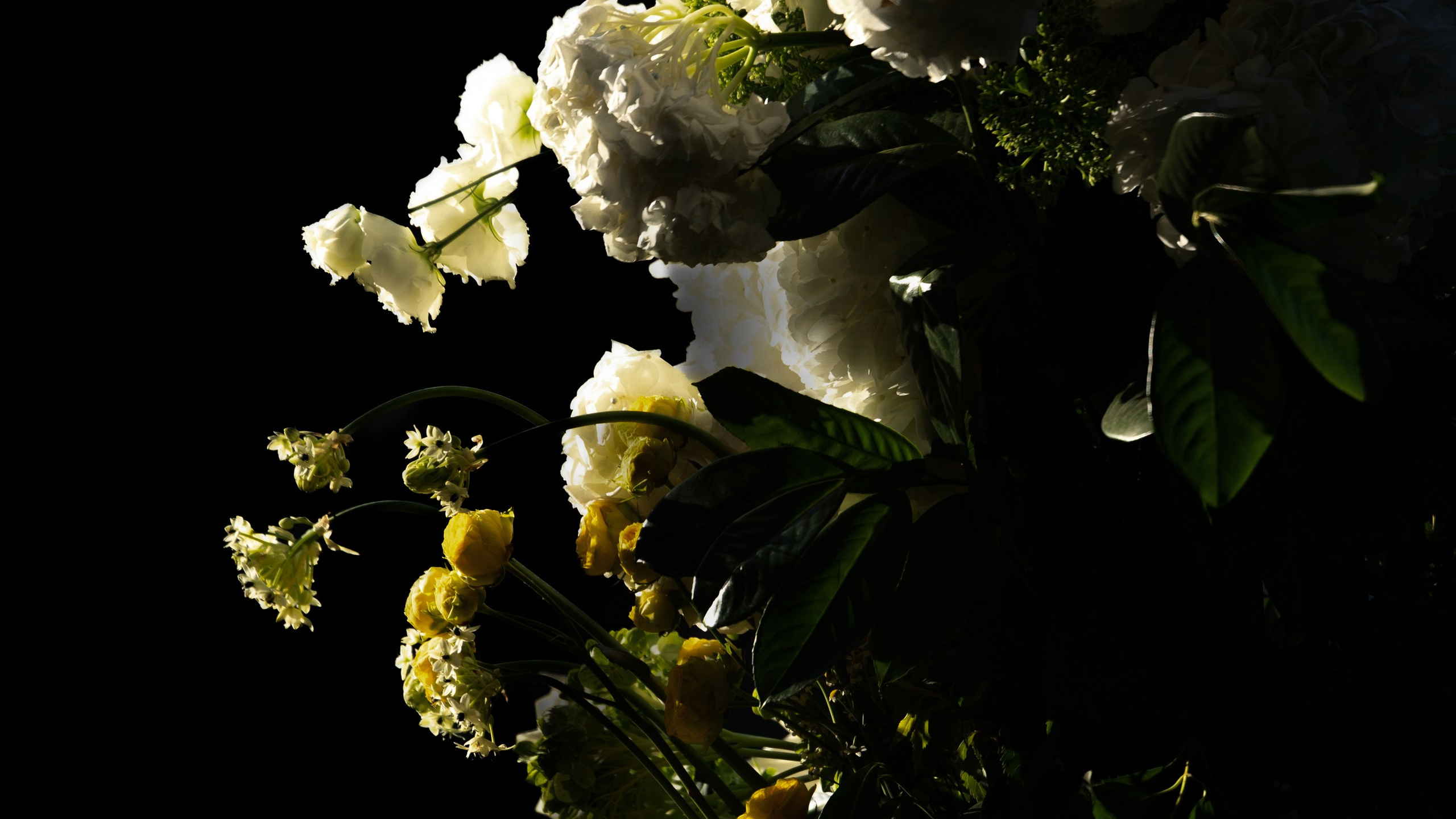 Цитрусовые